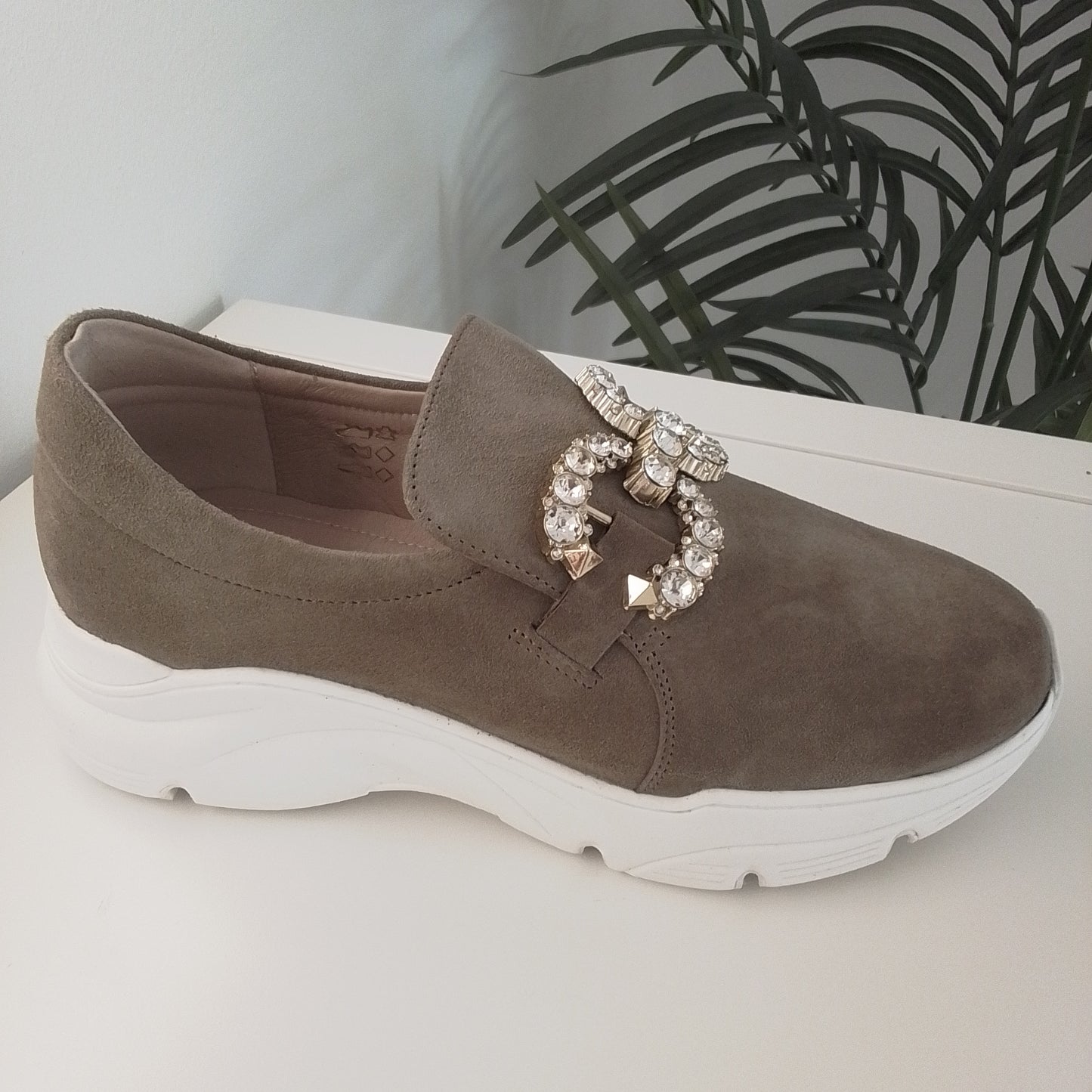 23670-IN24 taupe DANIELA