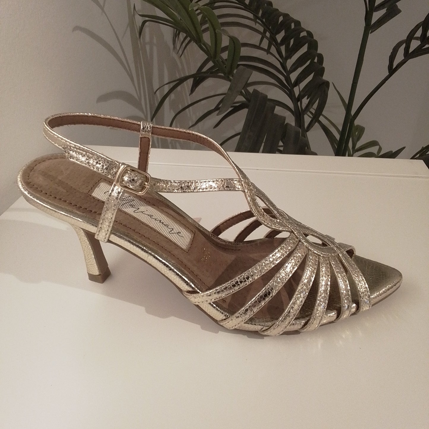 68459-V25 IVY CHAMPAGNE MARIAMARE