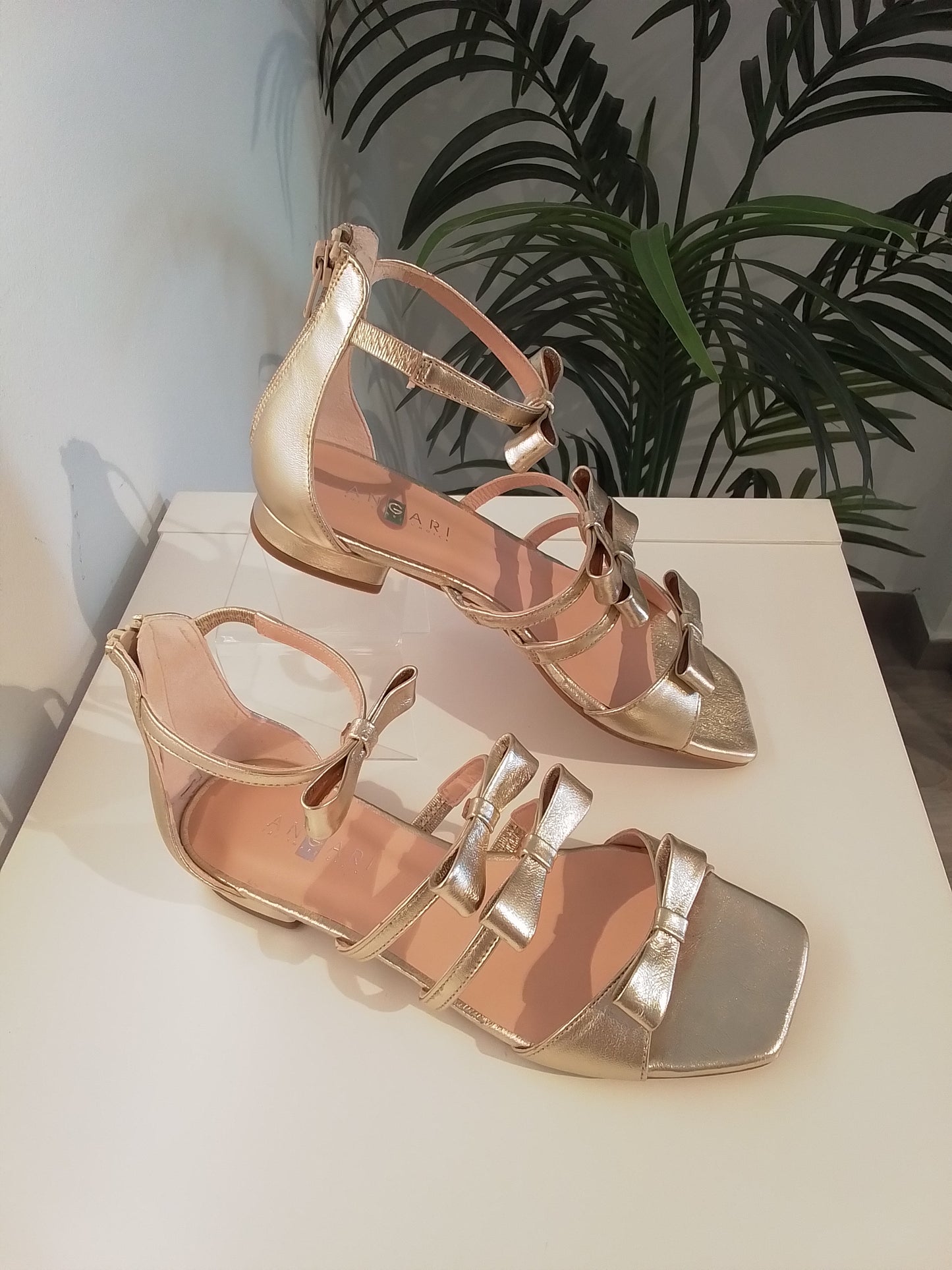 50550-V25 CHAMPAGNE ANGARI