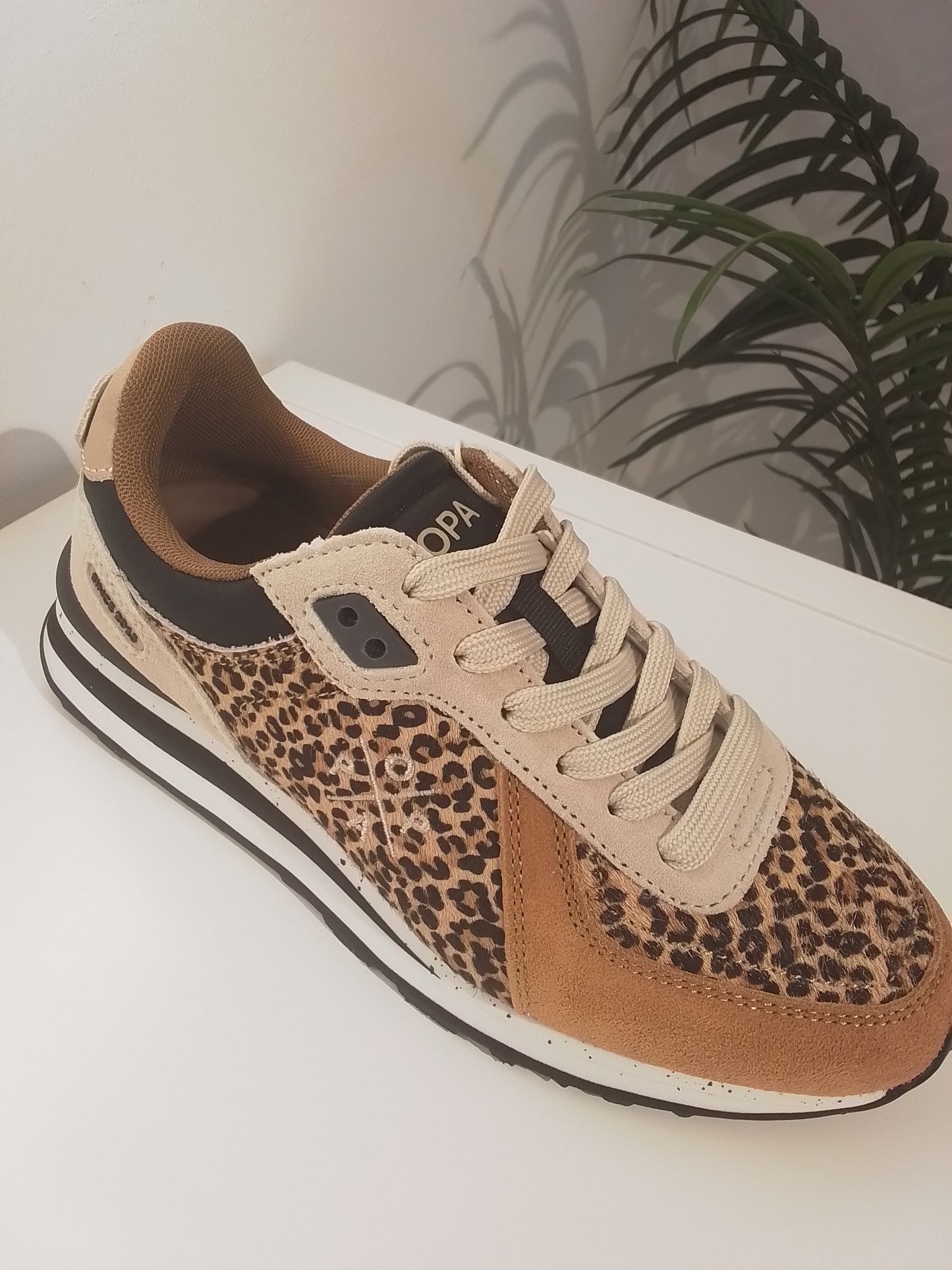 BLAKE ANIMAL-IN25 LEOPARDO POPA