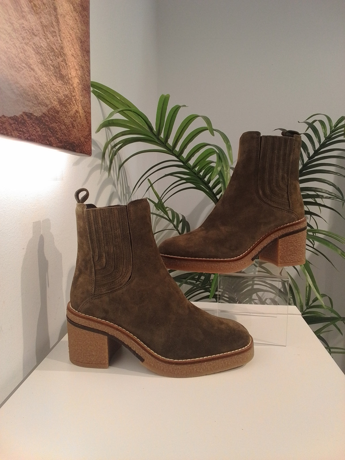 5673 OLIVA ANOTHER TREND