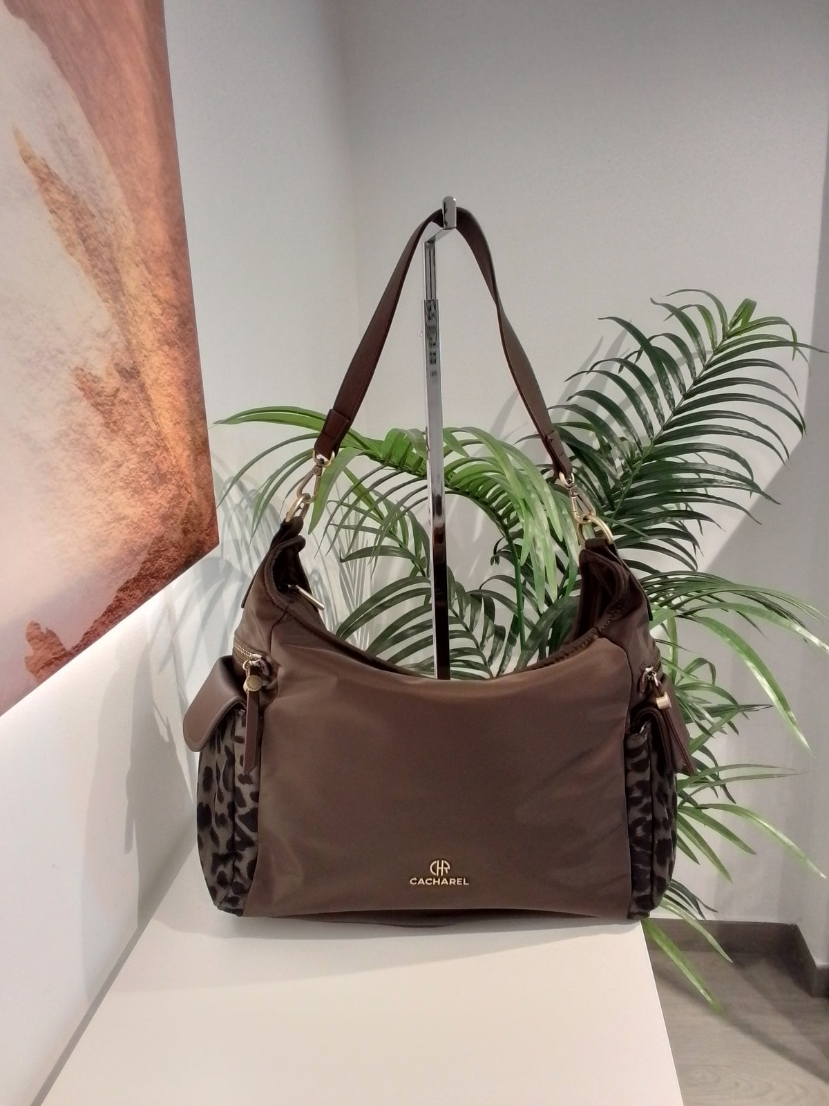 CP262073 MOKA CACHAREL