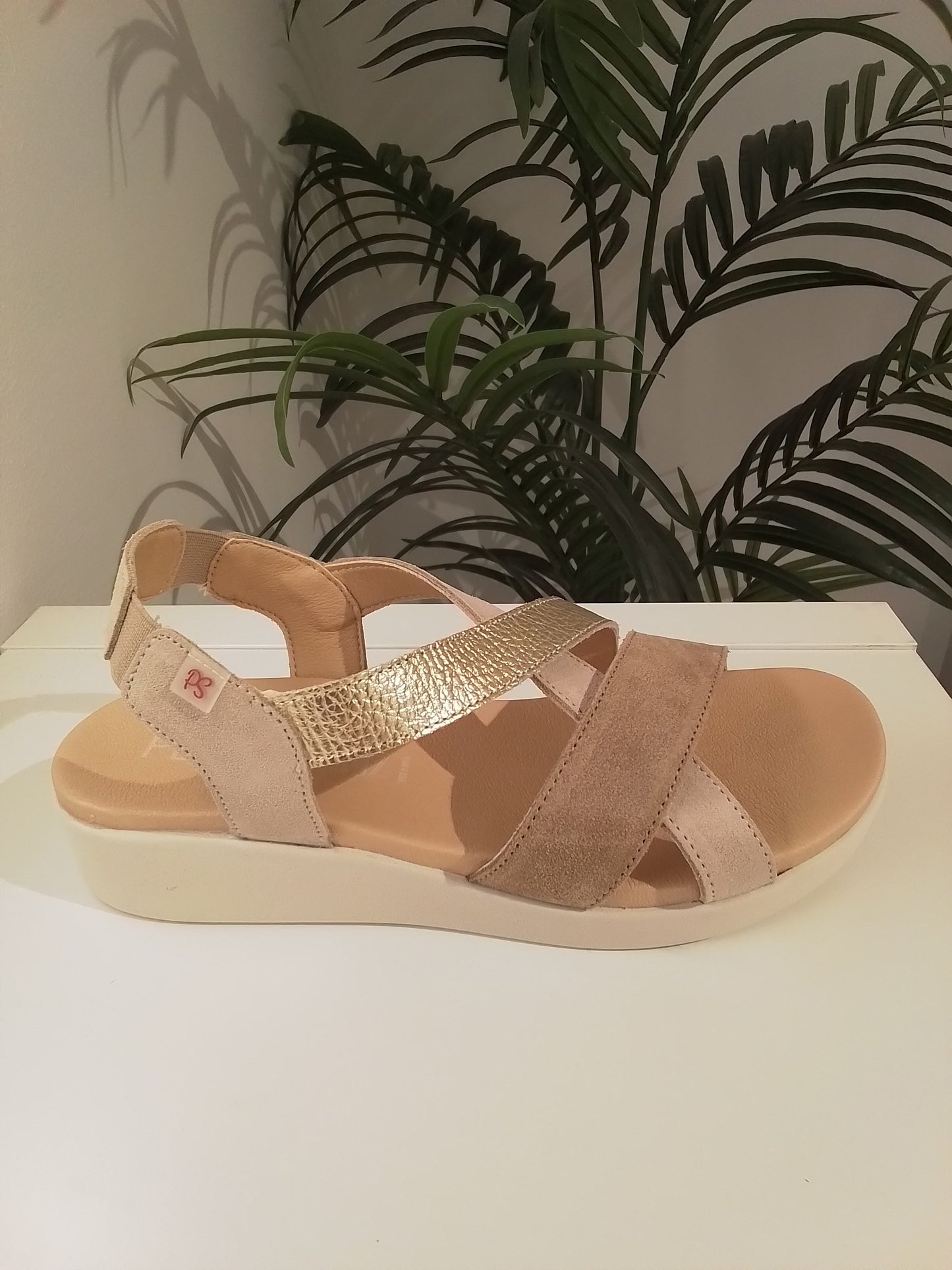 10528-V25 MULTI ORO PEPE SAENZ