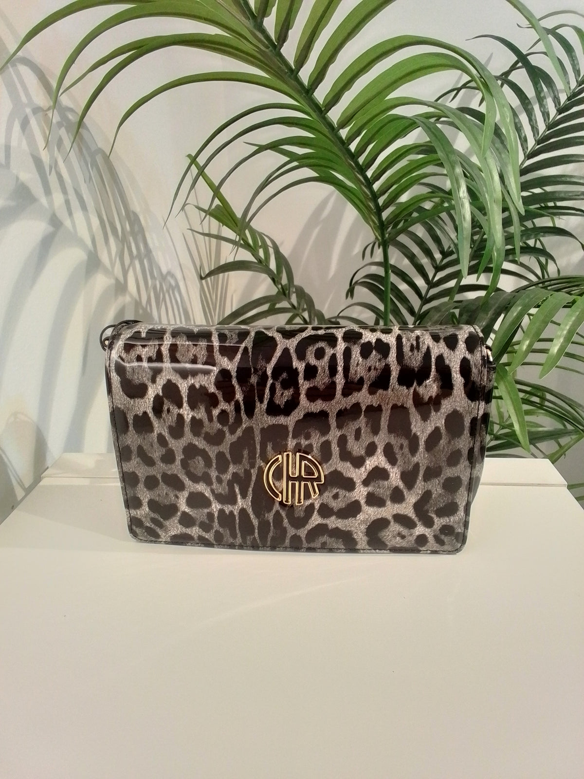 CS262091 NEGRO CACHAREL