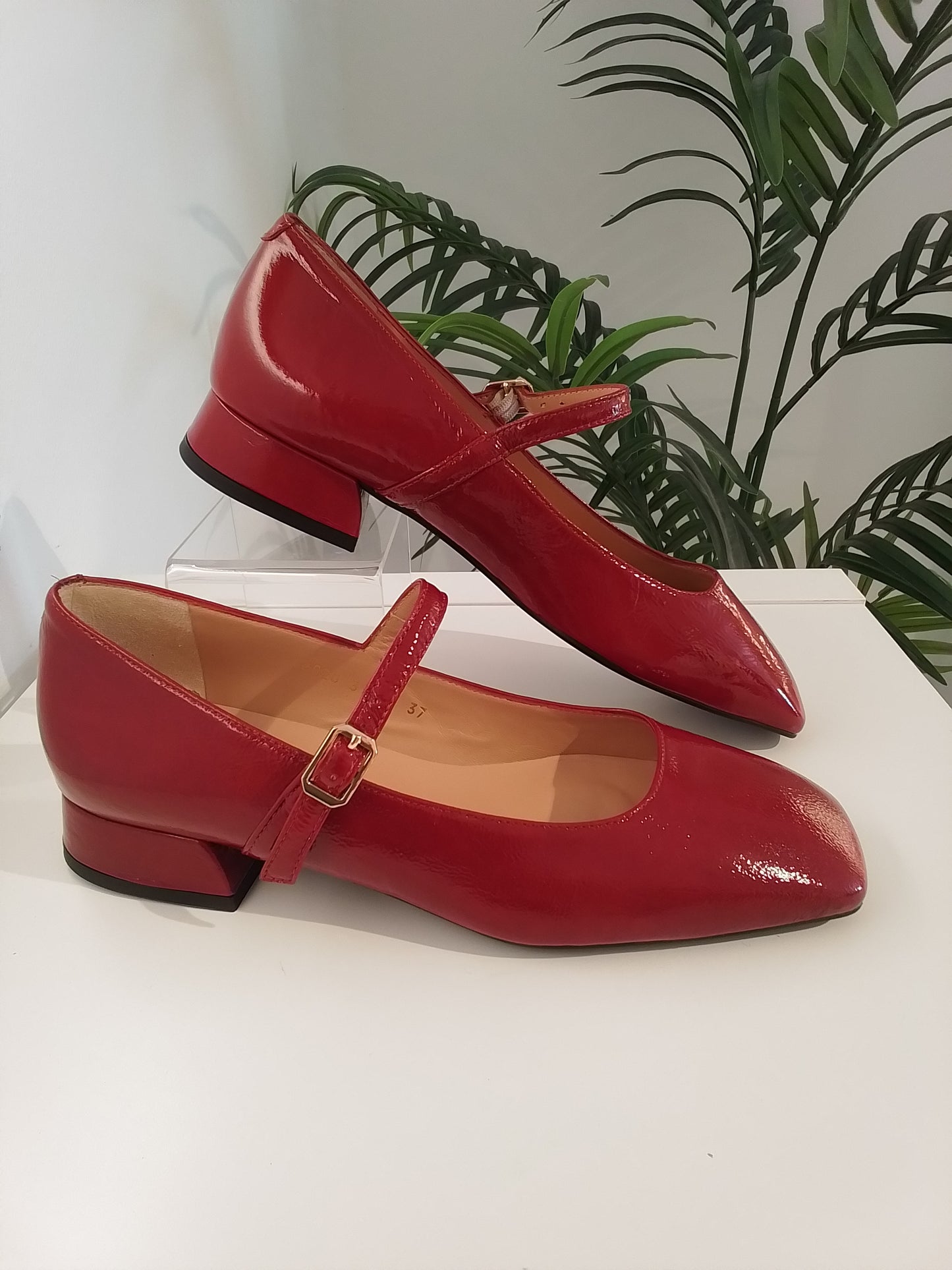 51252-IN25 CHAROL ROJO ANGARI