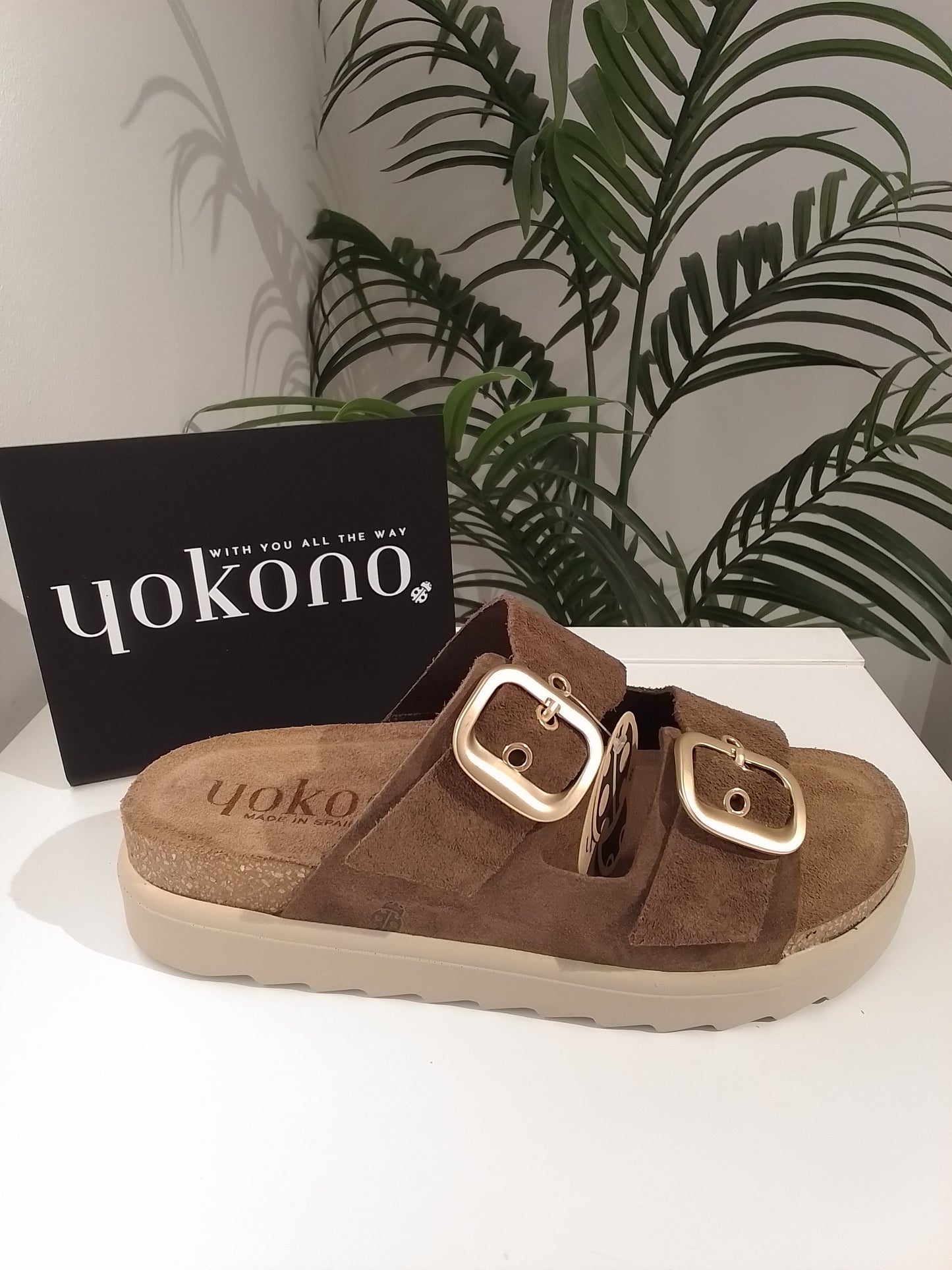 TUNEZ130-V25 CASTAÑO YOKONO