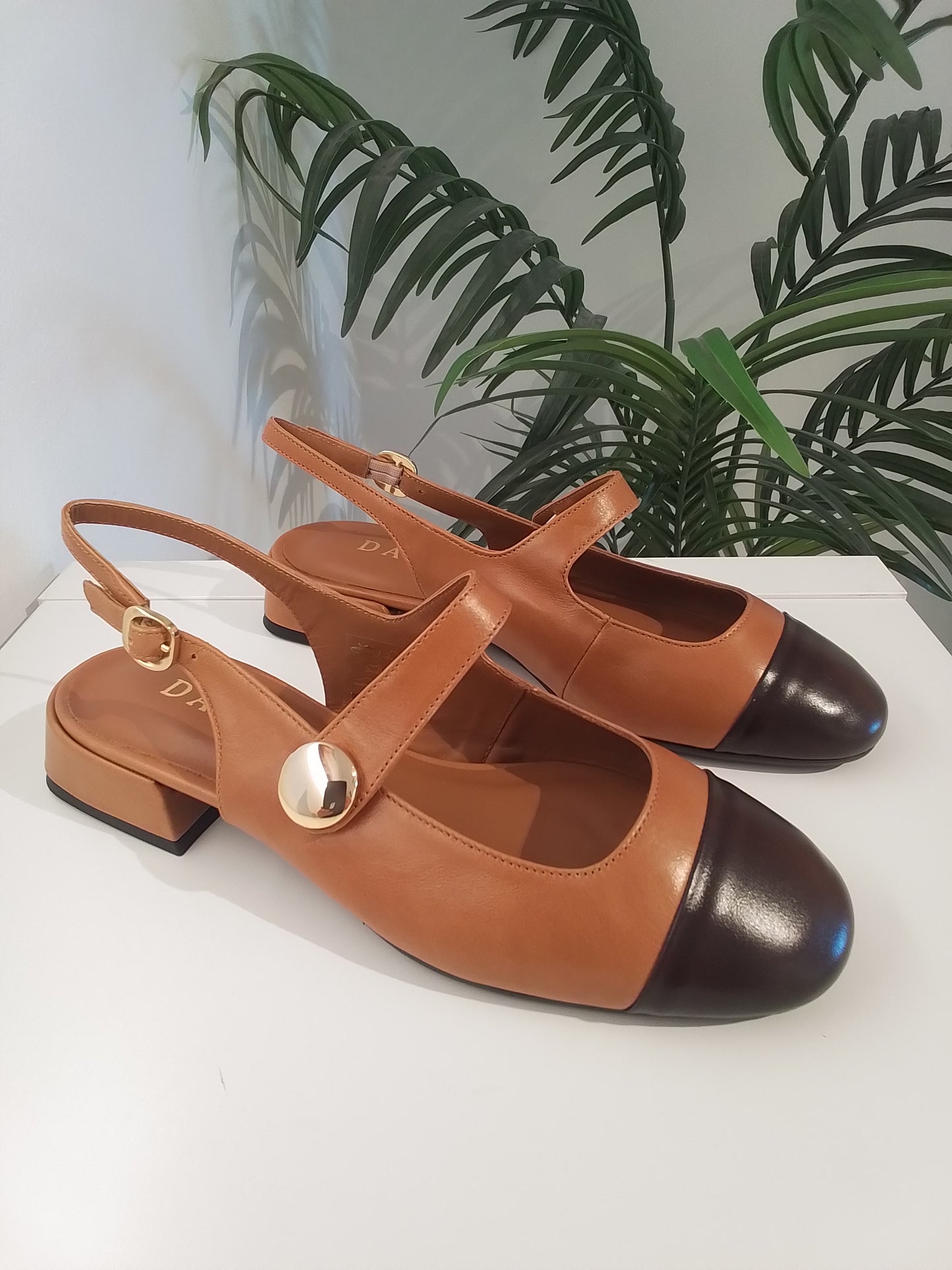 25532-IN25 CAMEL DANIELA
