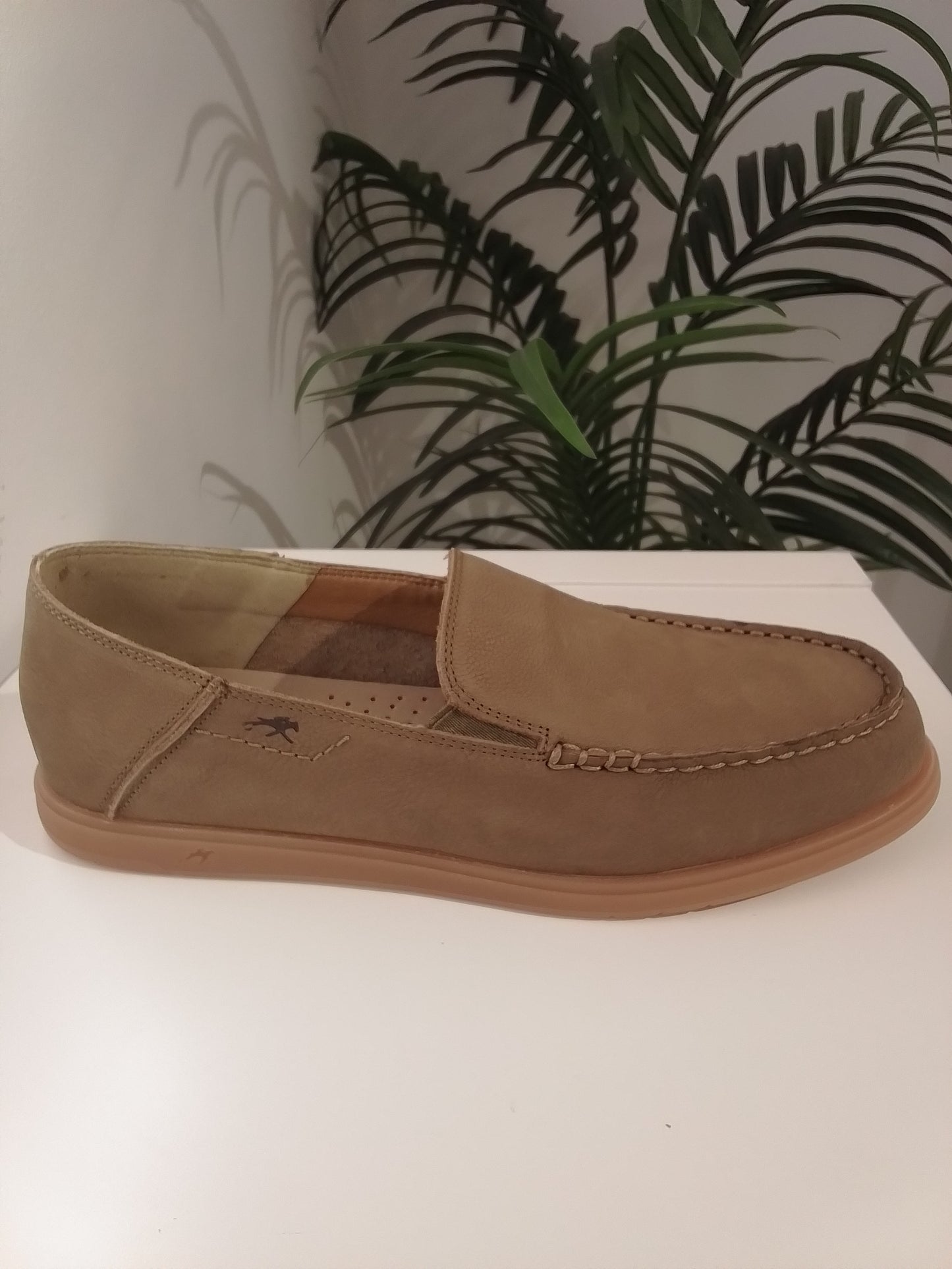 F2193-V26 TRIVAL MARMOTA FLUCHOS