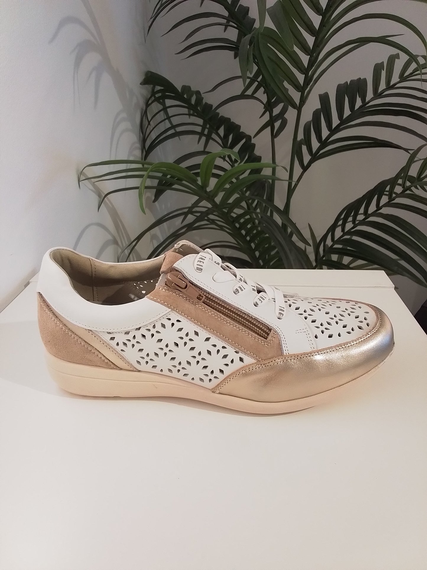 4312-V25 BLANCO TREINTAS