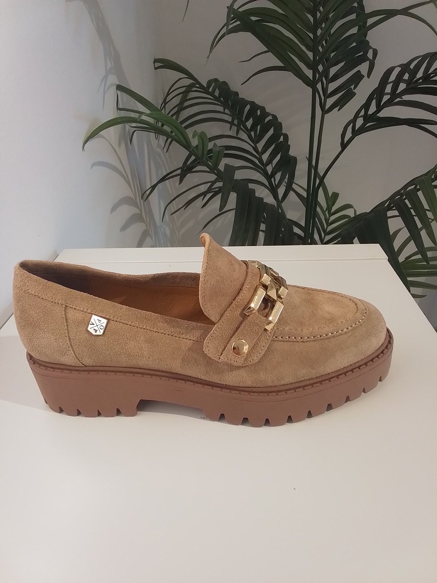 ARDOSA-IN25 ARENA POPA