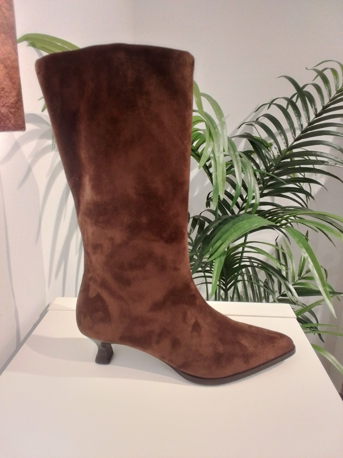 75337 MARRON MISS ELASTIC