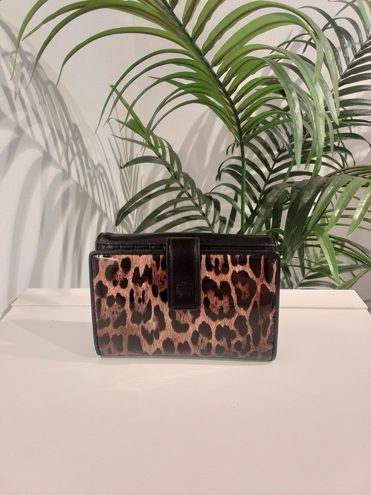 BC2625 CARTERA/M CACHAREL