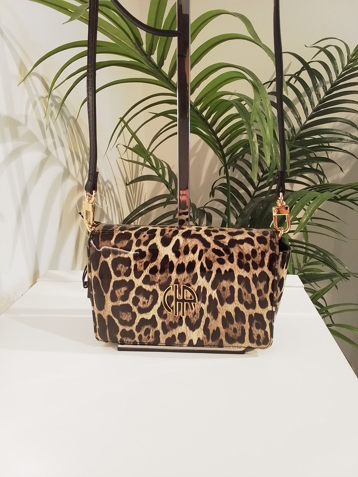 CS262090 TAUPE CACHAREL