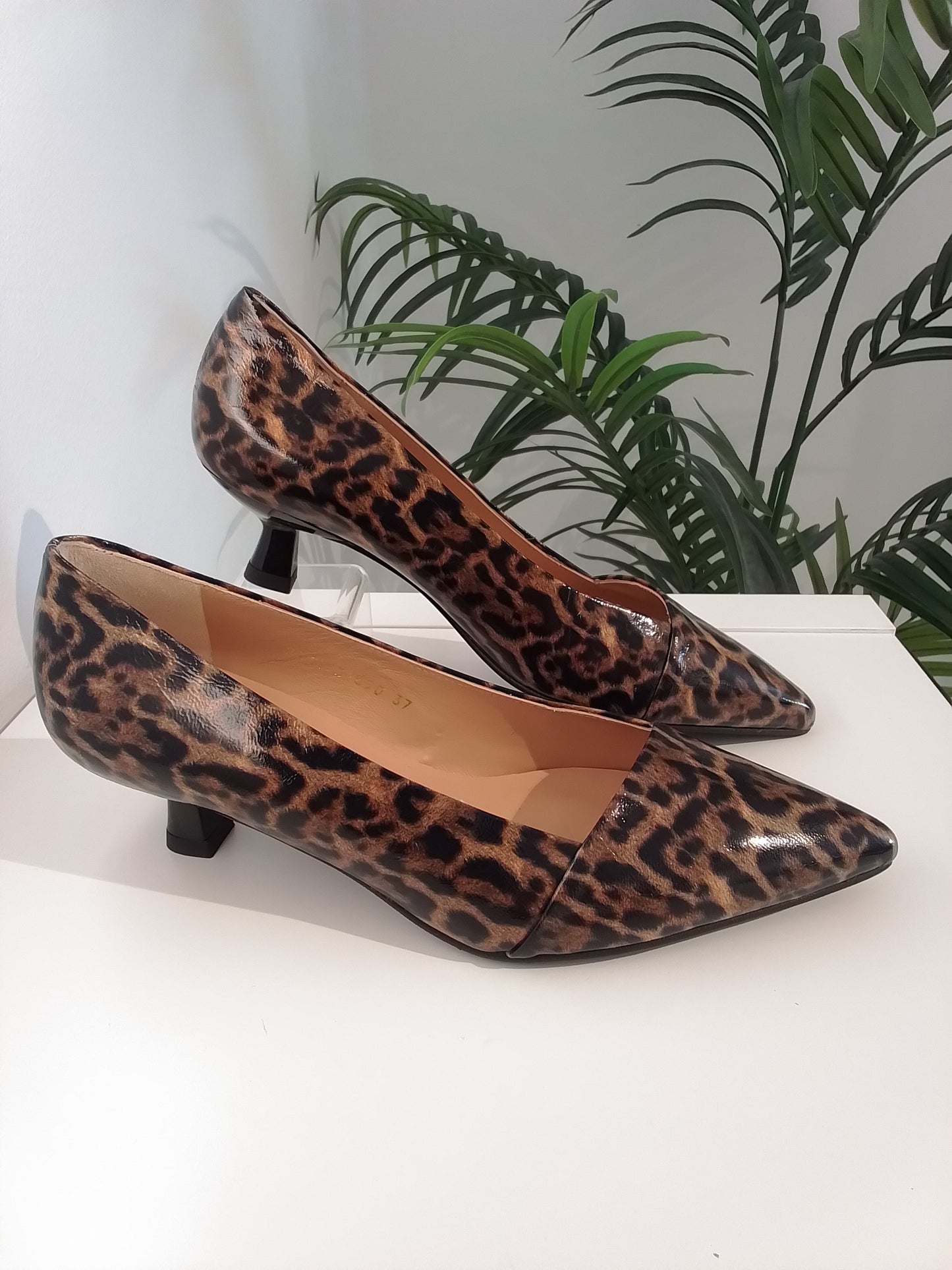 51090-V25 LEOPARDO CHAROL ANGARI