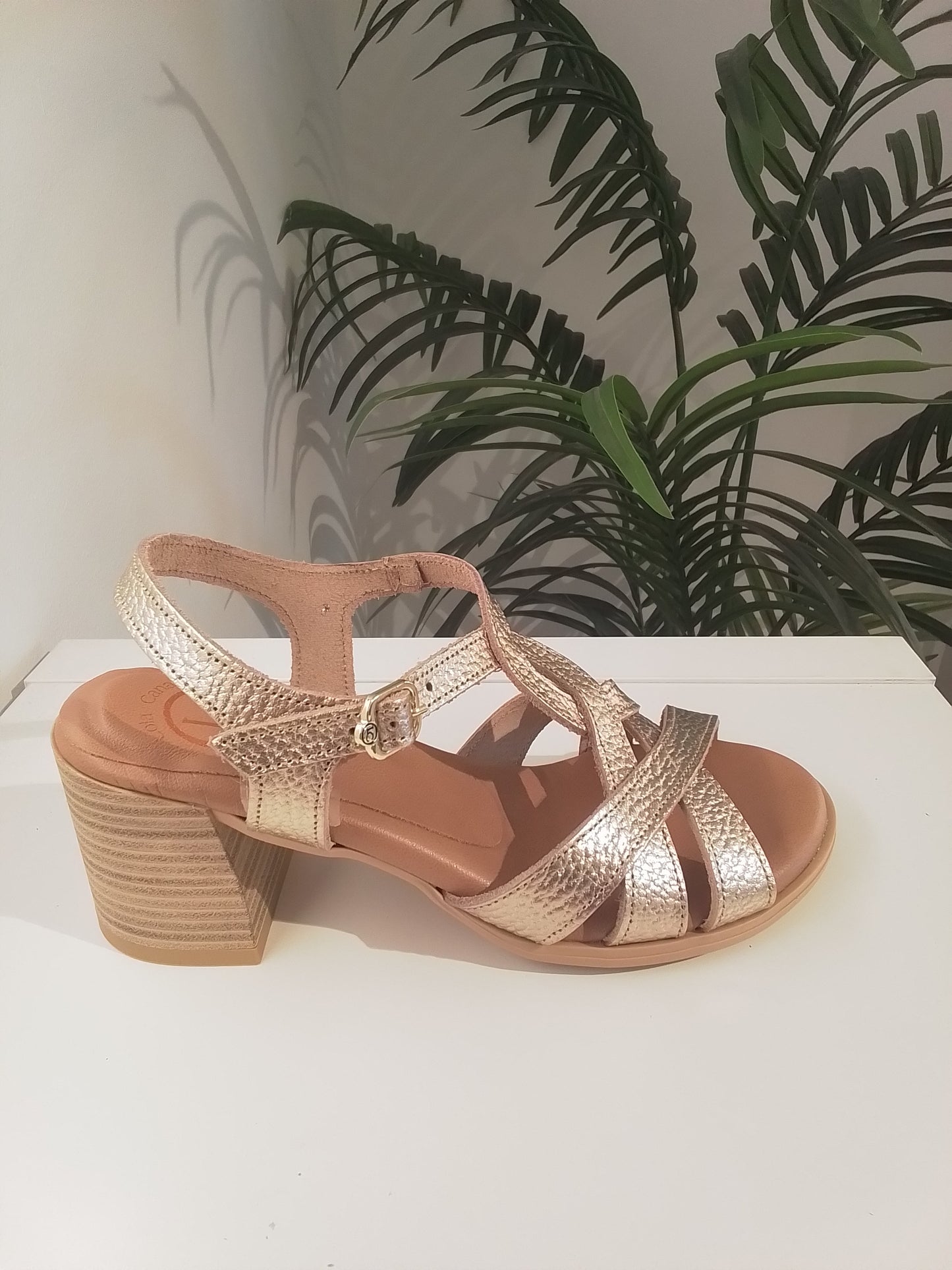85405-V25 CHAMPAGNE LOLA CANALES