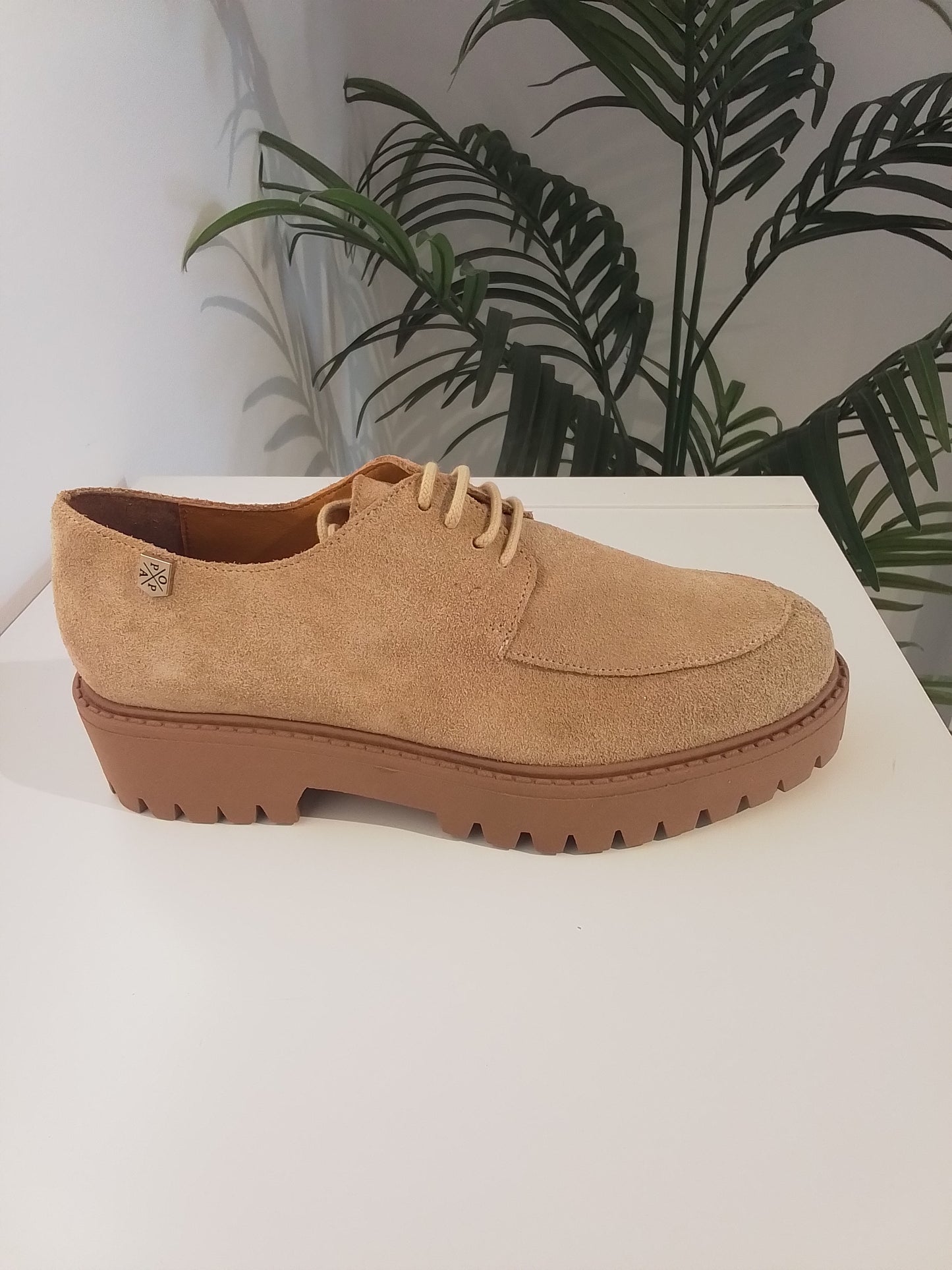 CERVANTES-IN25 ARENA POPA