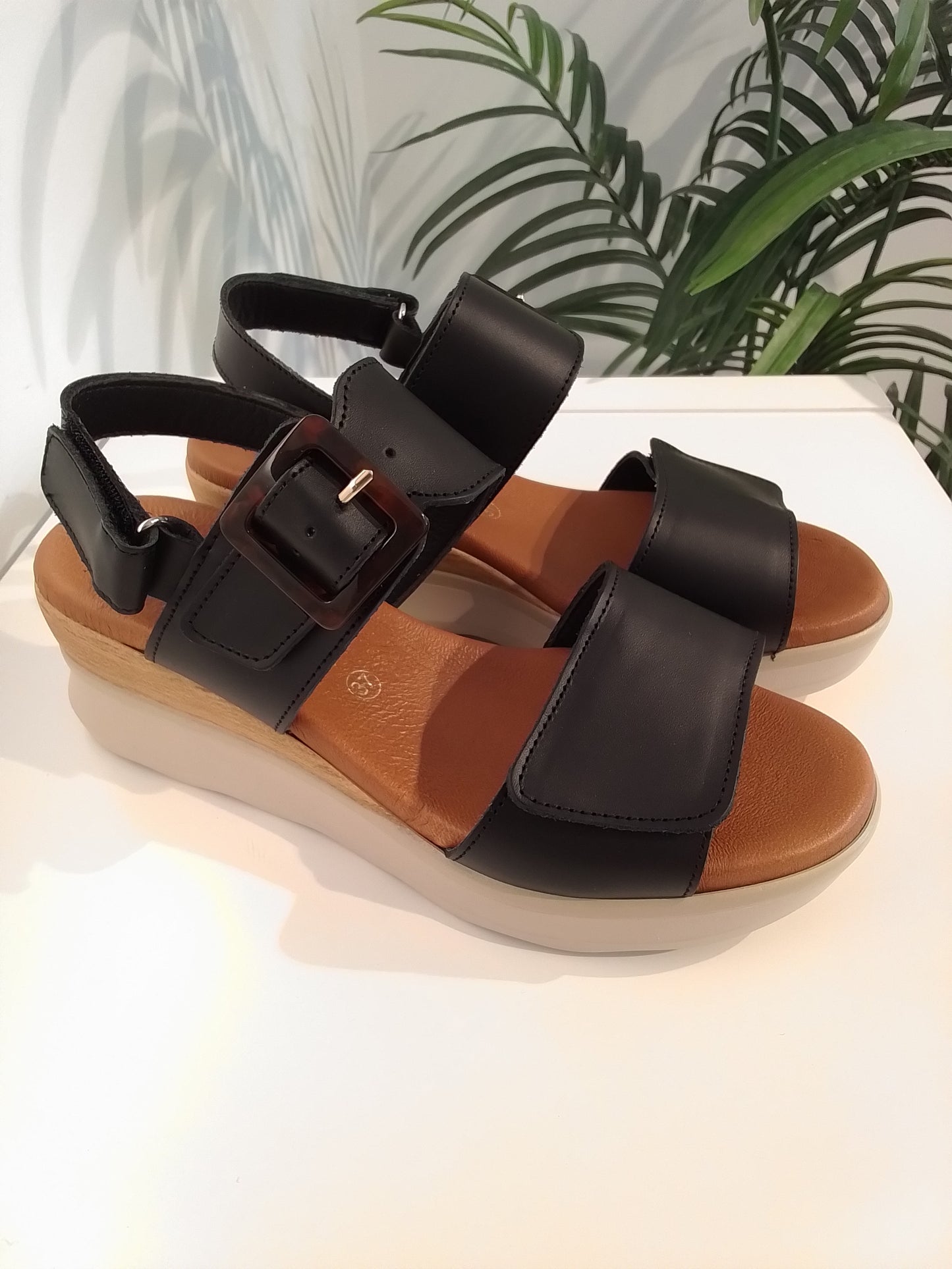 4562 NEGRO JORDANA