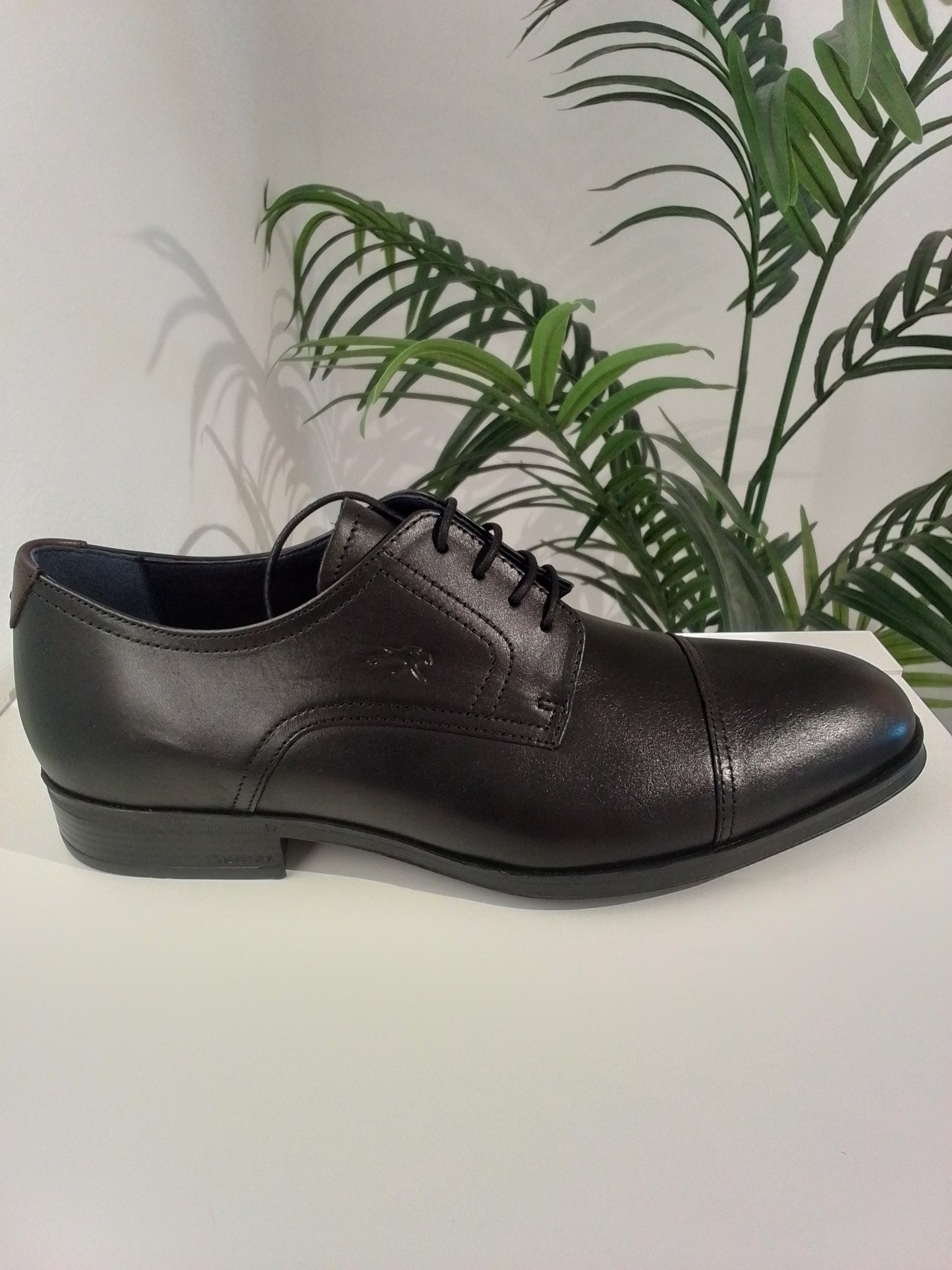 ASGARD F1885-IN25 NEGRO