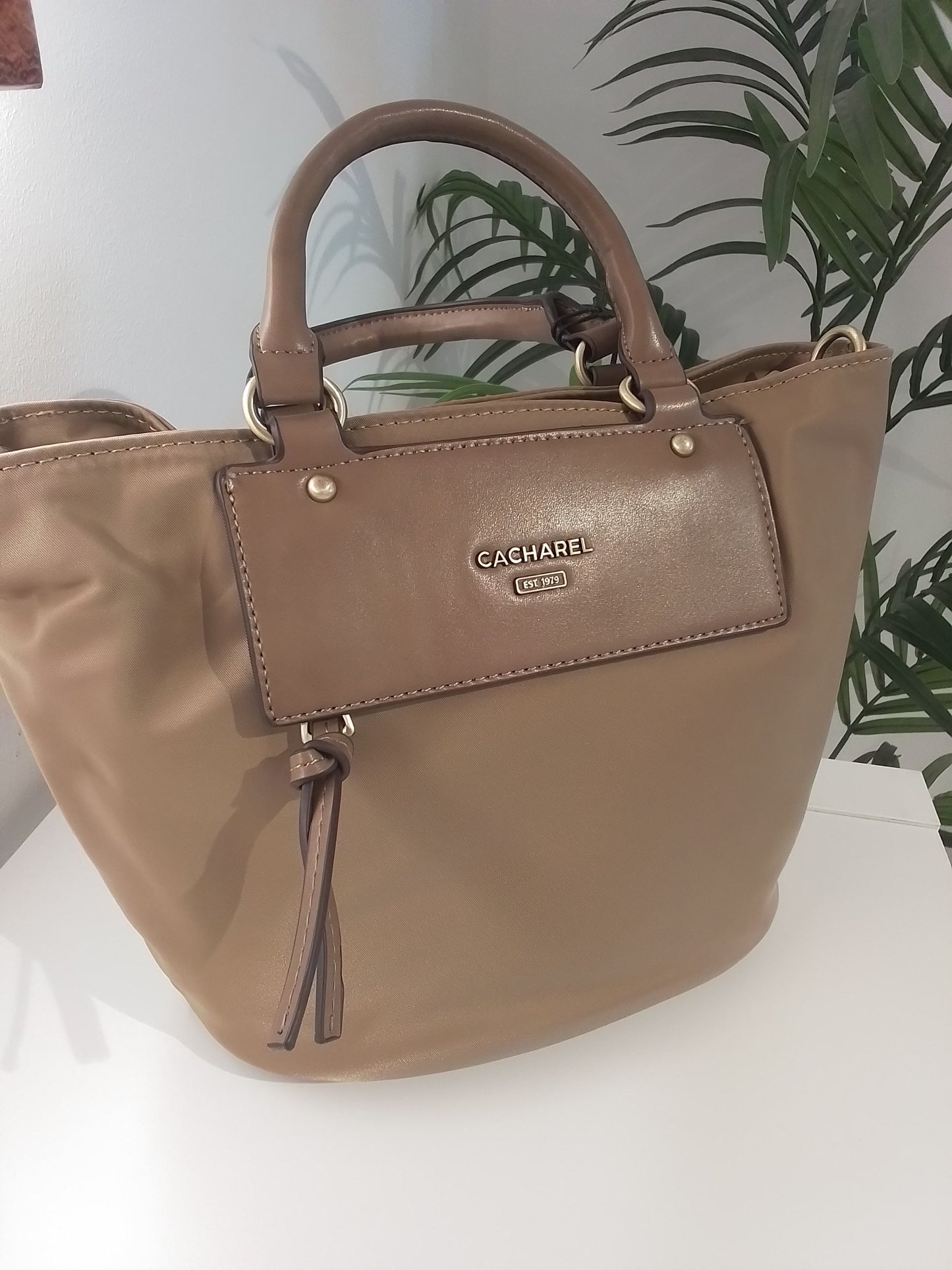 HD252233-IN25 TIERRA CACHAREL