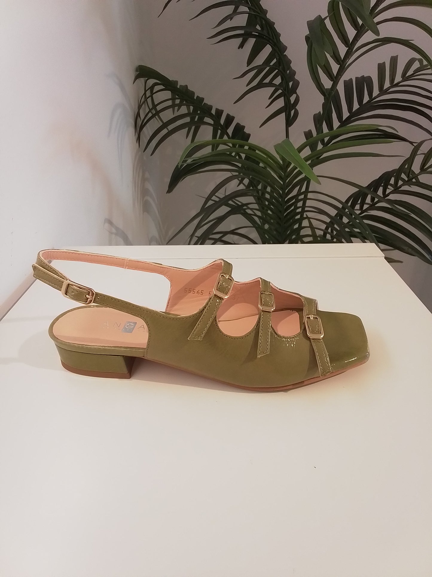 50557-V25 VERDE ANGARI