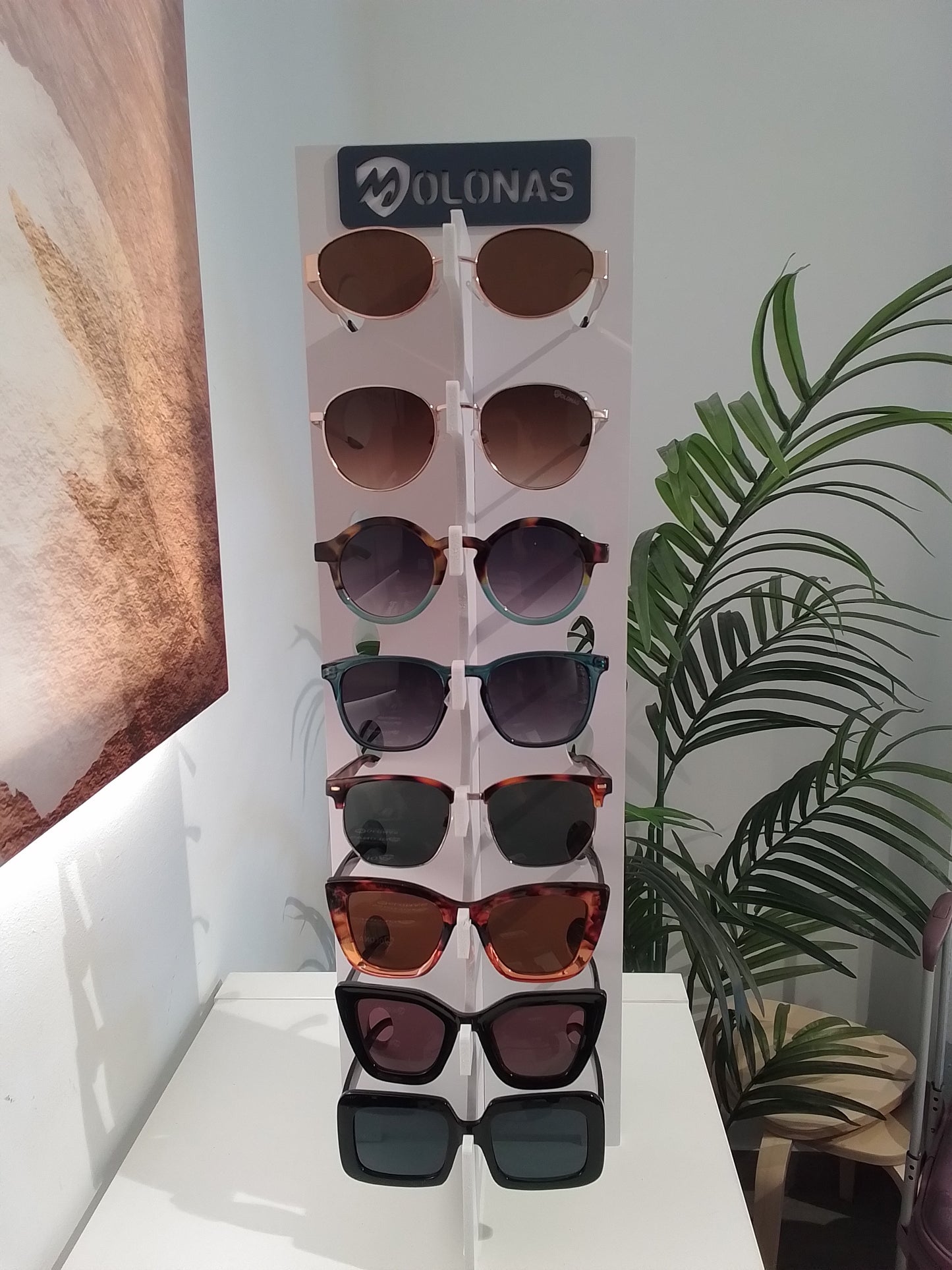 GAFAS MOLONAS