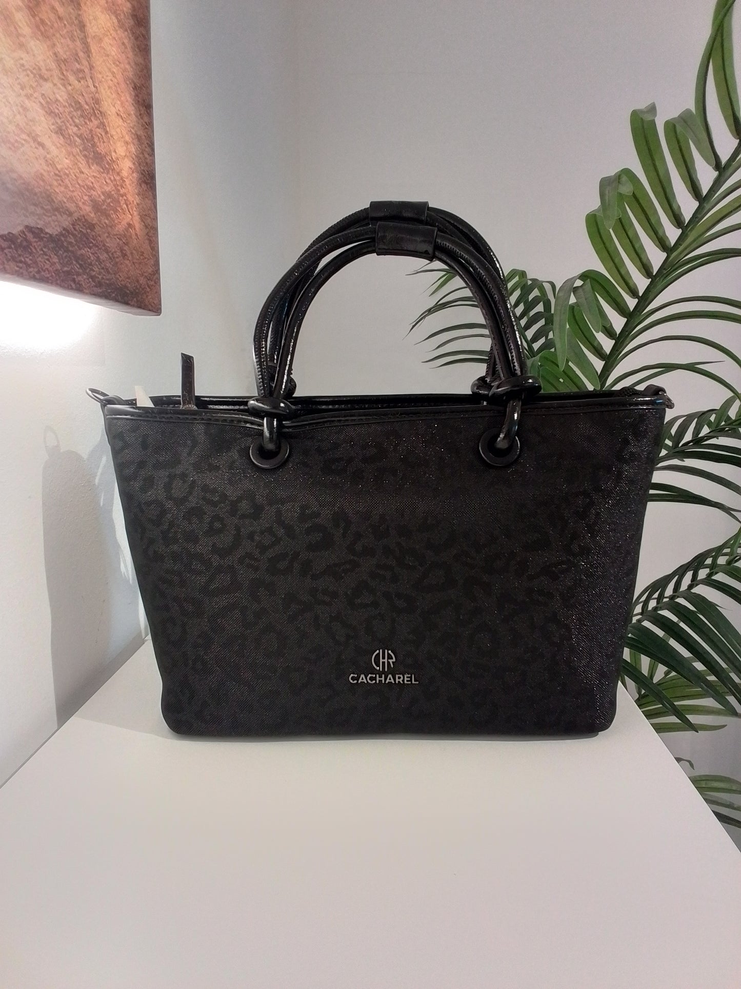 CL252053-IN25 NEGRO CACHAREL