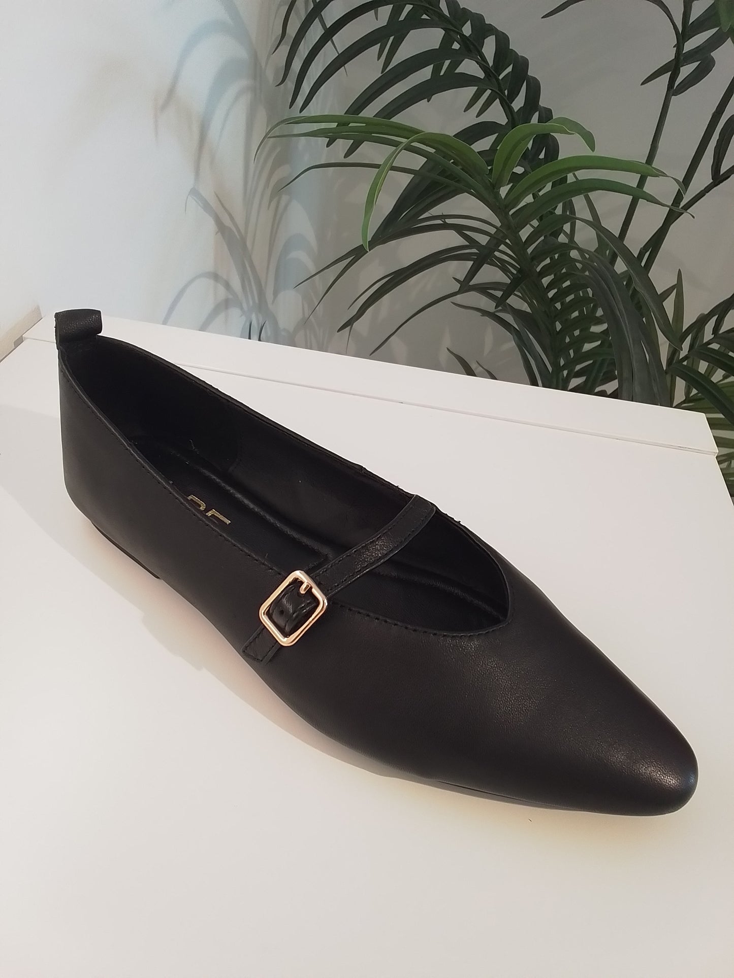 5555-IN25 NEGRO ALPE