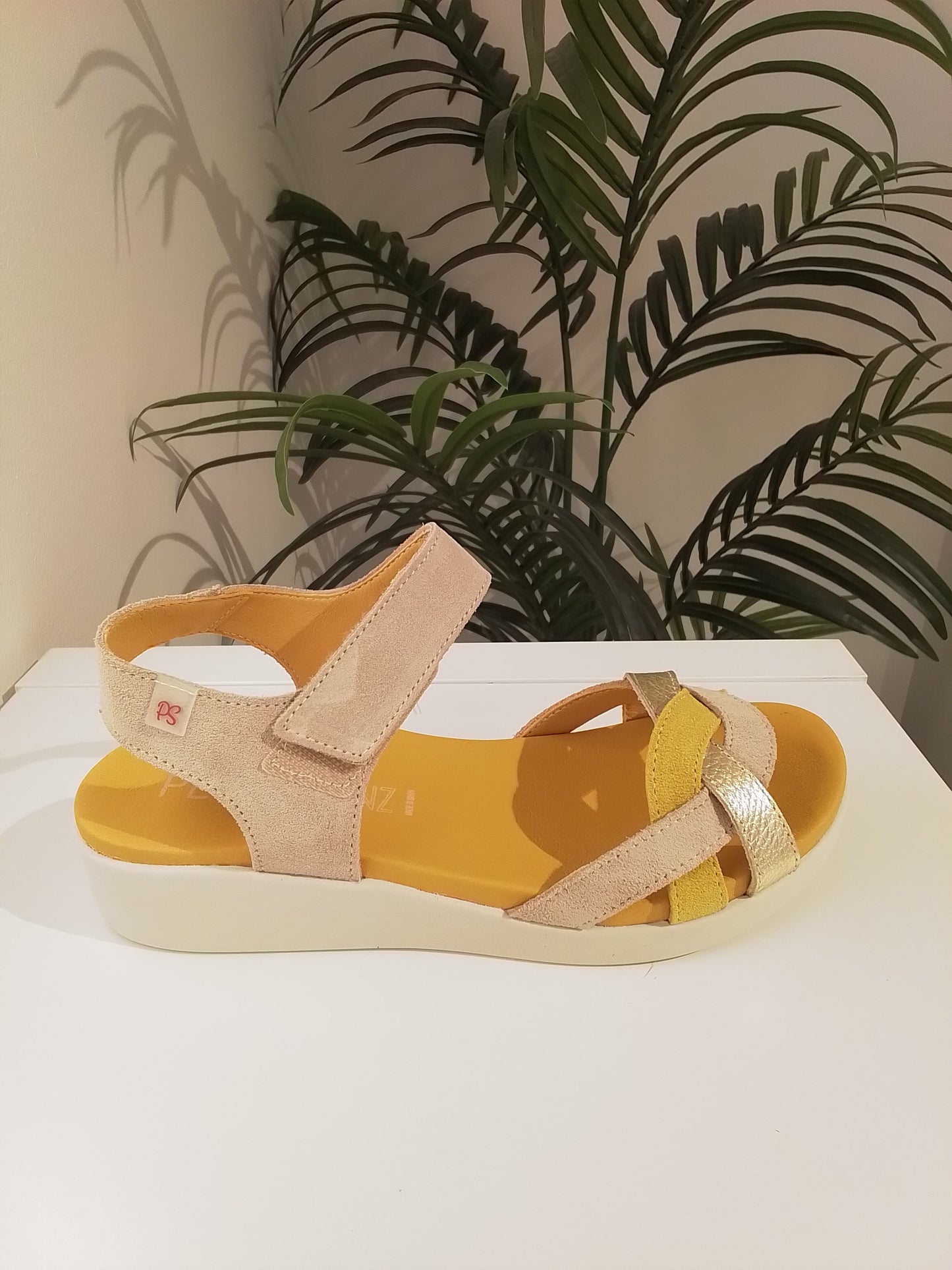 10531-V25 AMARILLO PEPE SAENZ