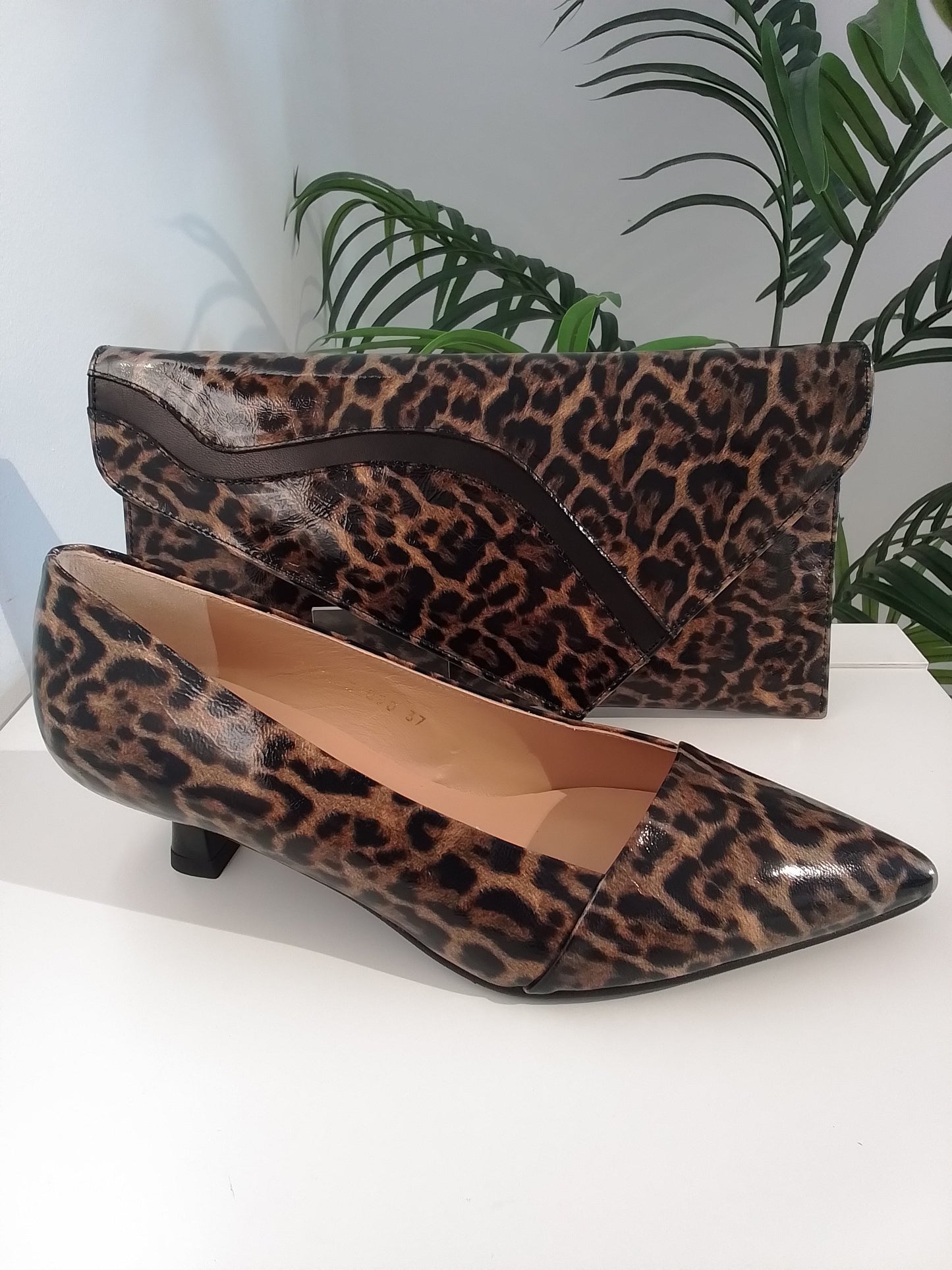 51090-V25 LEOPARDO CHAROL ANGARI