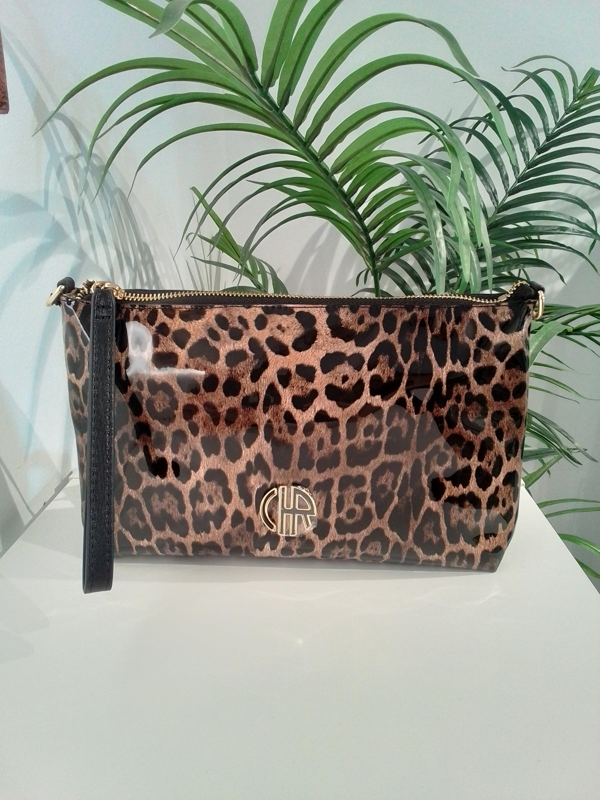 CS262092 NECESER CASTAÑO CACHAREL
