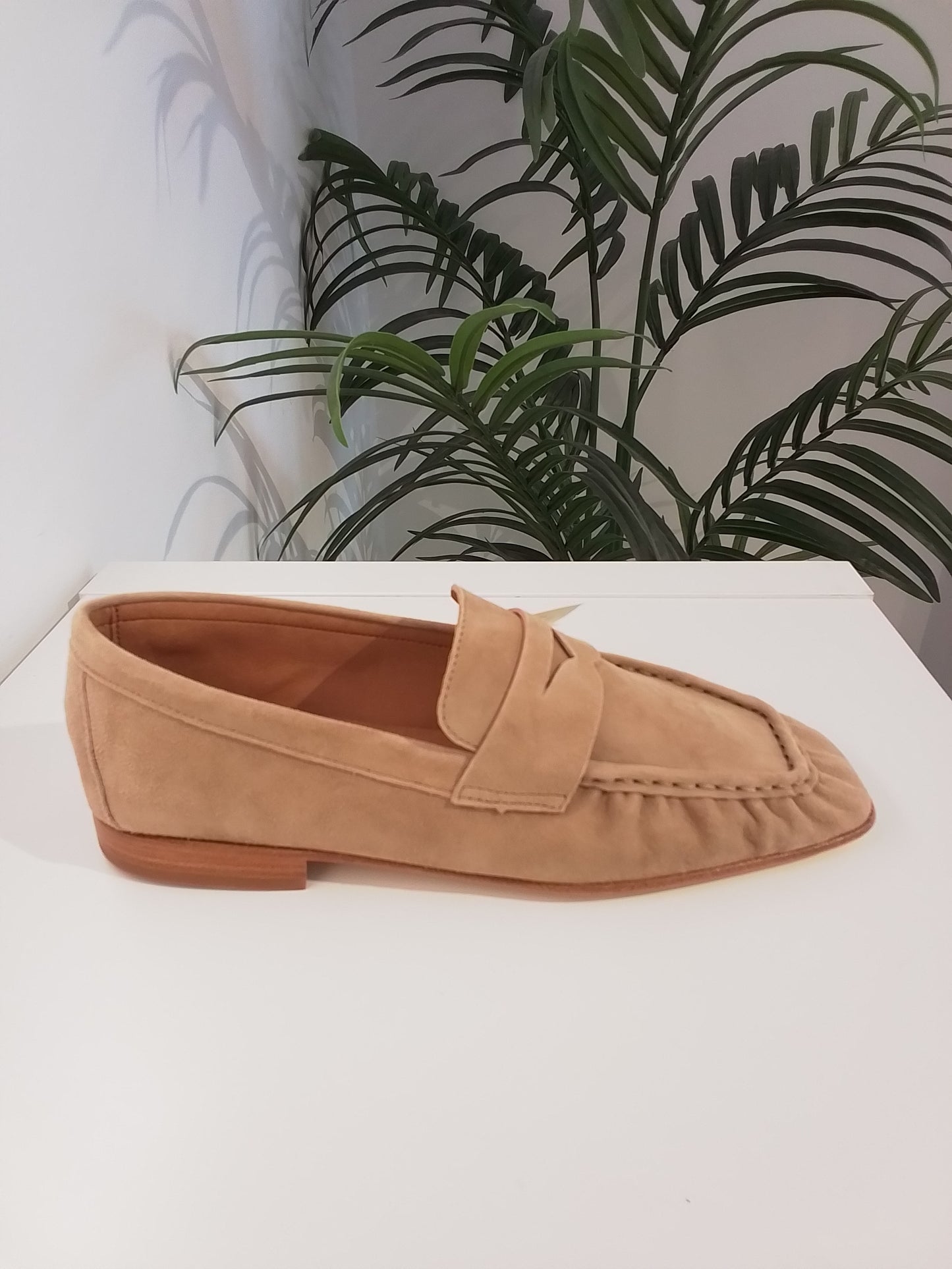 5401-V25 BABY SILK ARENA ALPE