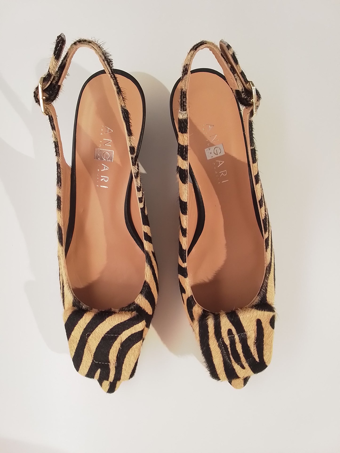 51083-IN25 CEBRA CAMEL ANGARI
