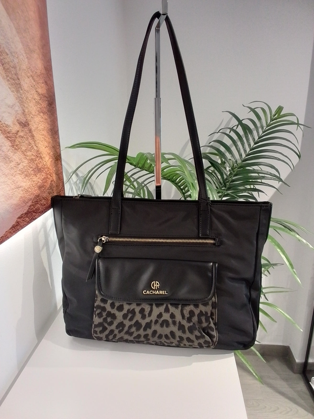 CP262075 NEGRO CACHAREL