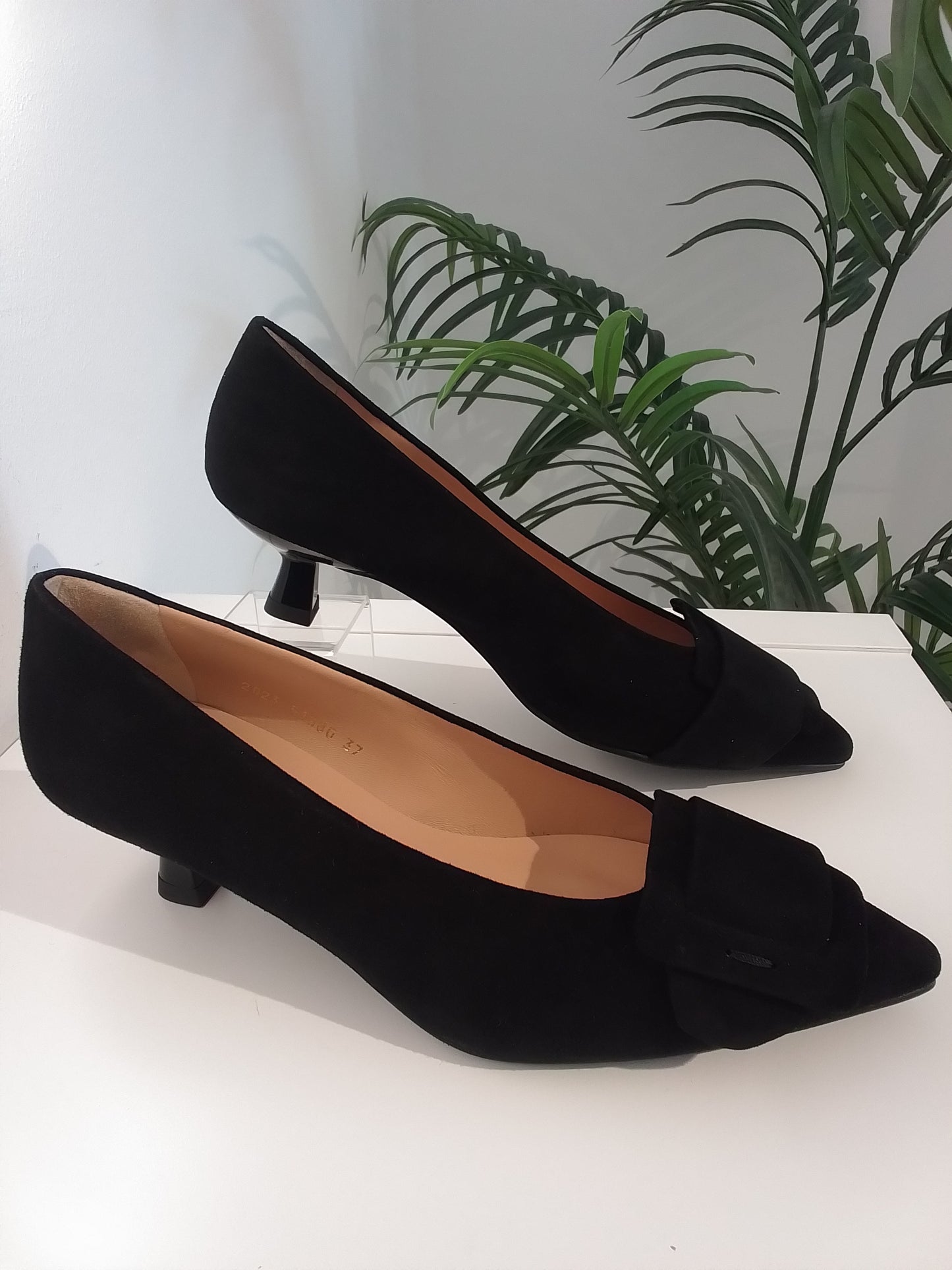 51080-IN25 ANTE NEGRO ANGARI