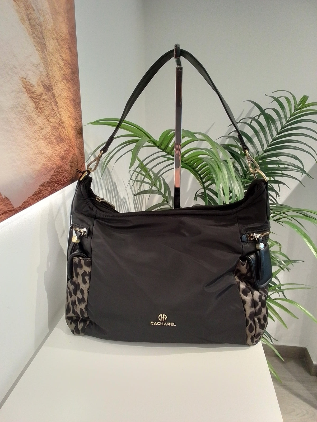 CP262073 NEGRO CACHAREL