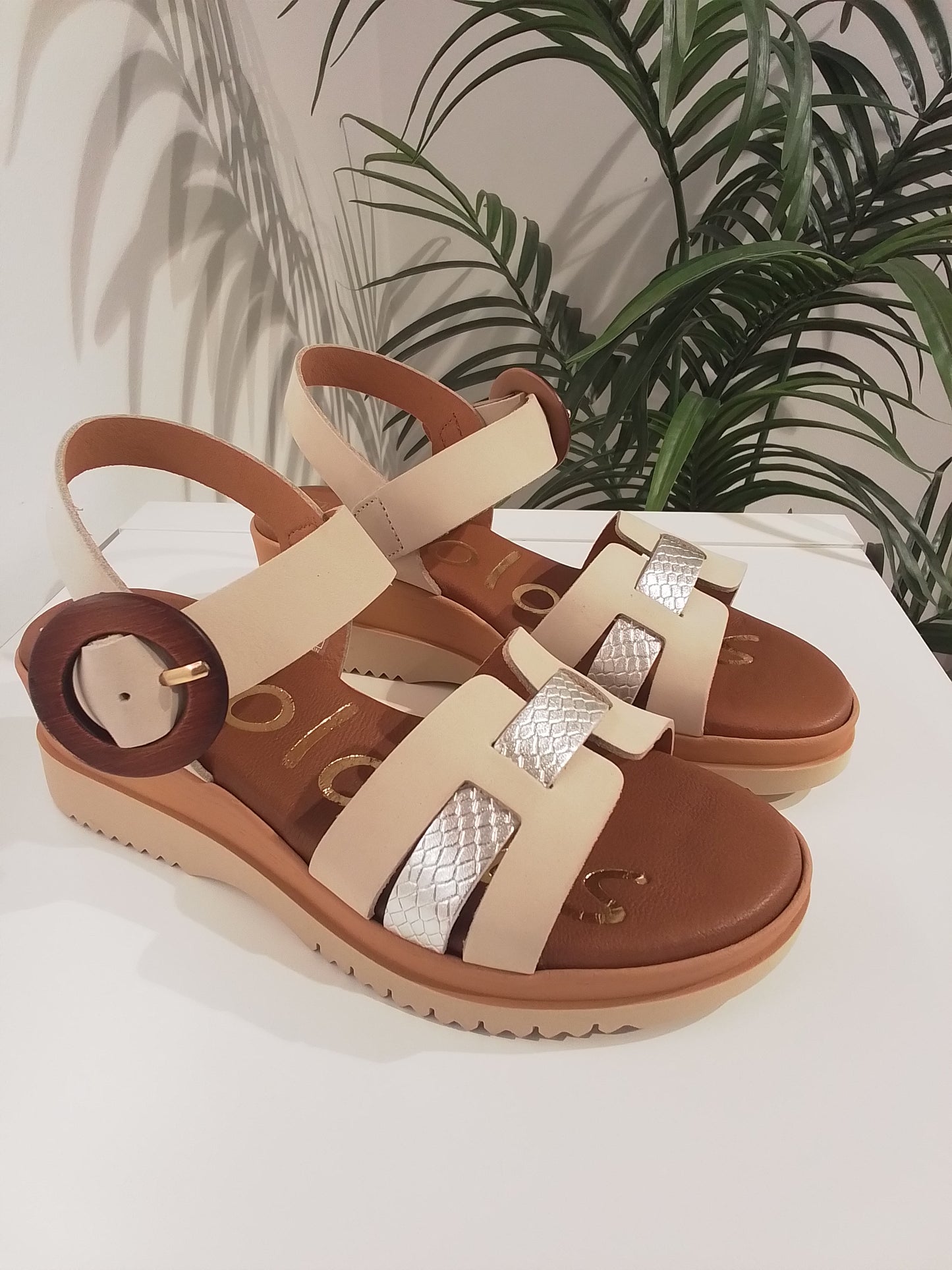 153576 BEIGE PLATA MOLONAS