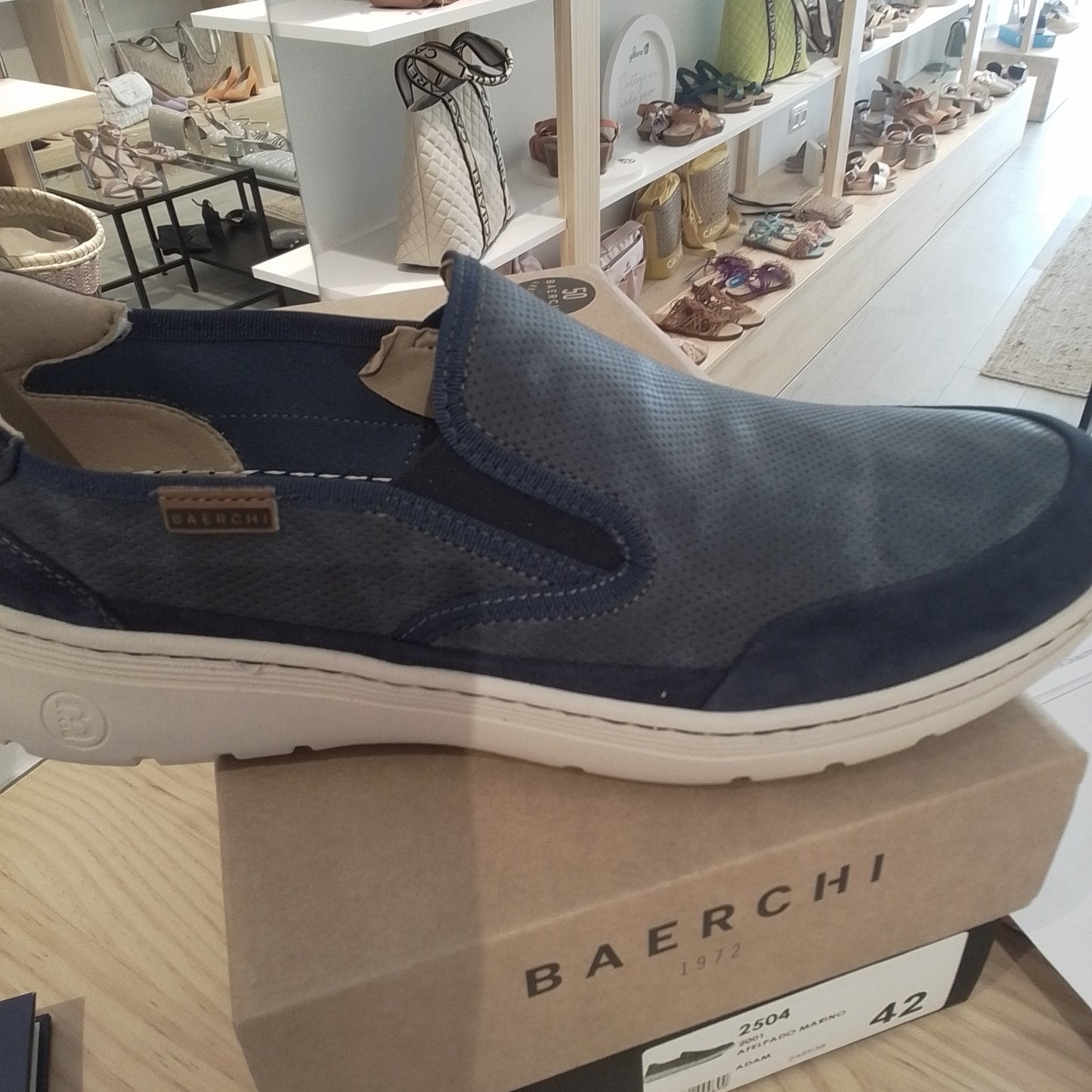 2504-V23 marino BAERCHI