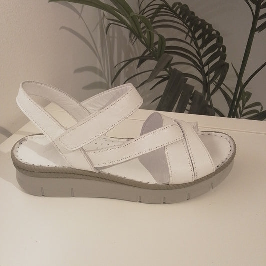 L1006-V24 blanco TREINTAS