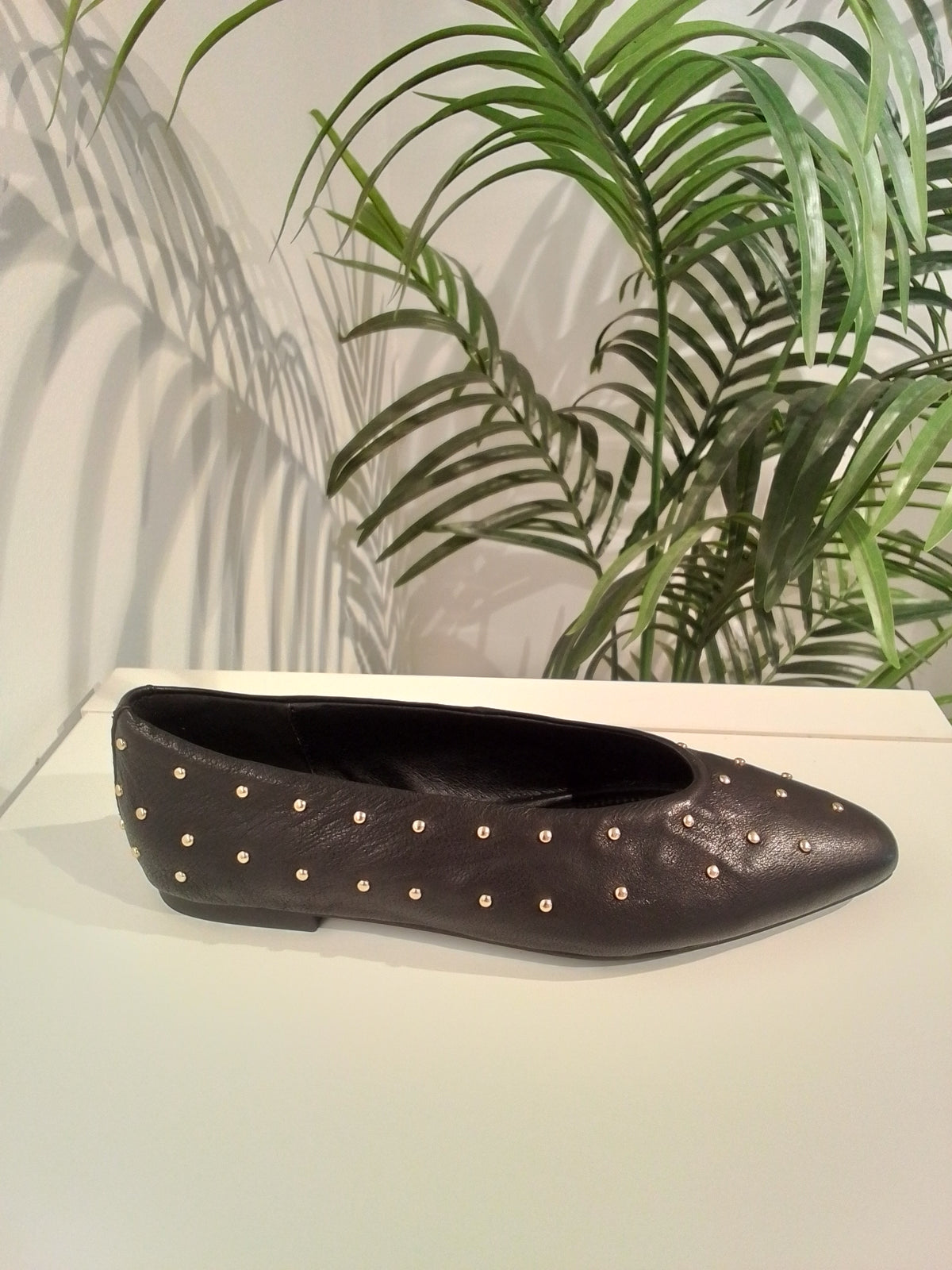 5723 NEGRO ANOTHER TREND