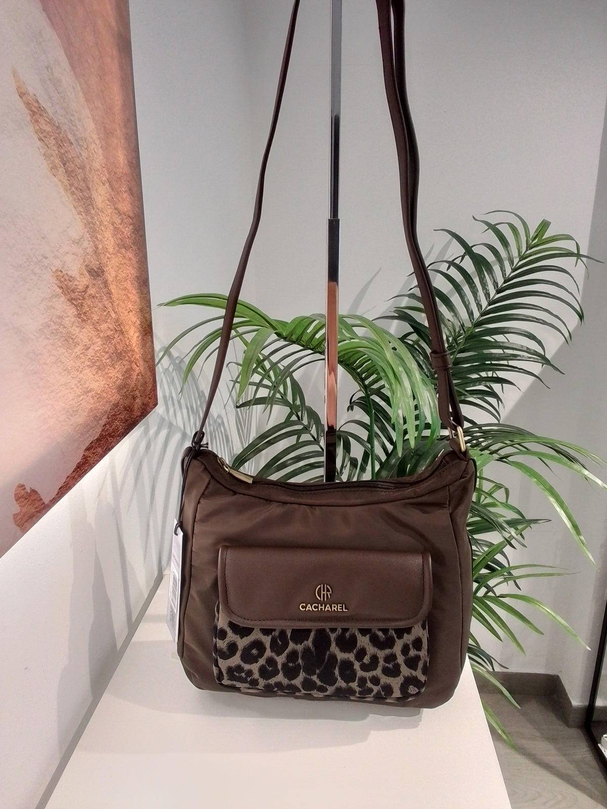 CP262072 MOKA CACHAREL