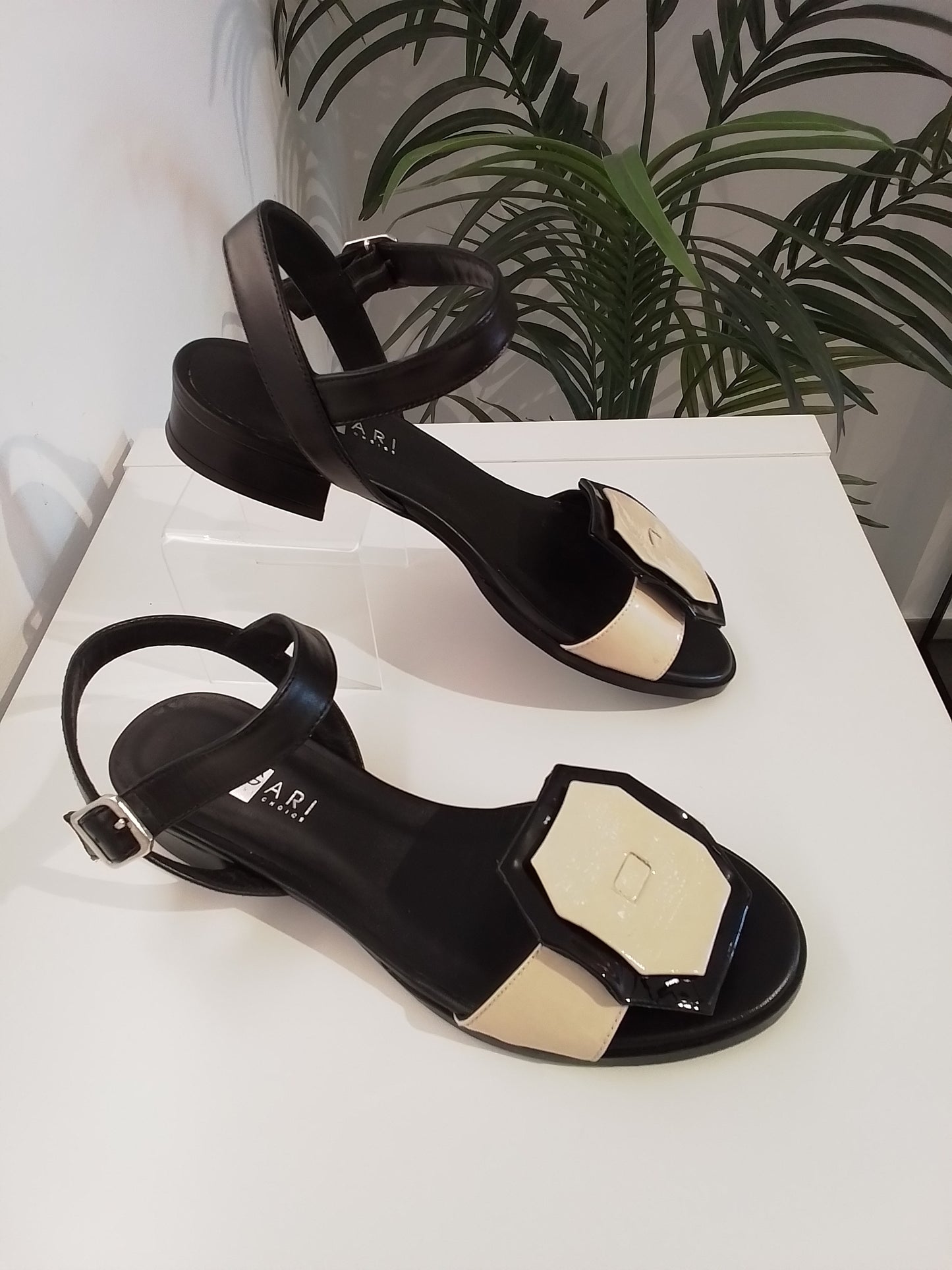 50516-V25 NEGRO/CREMA CHAROL ANGARI