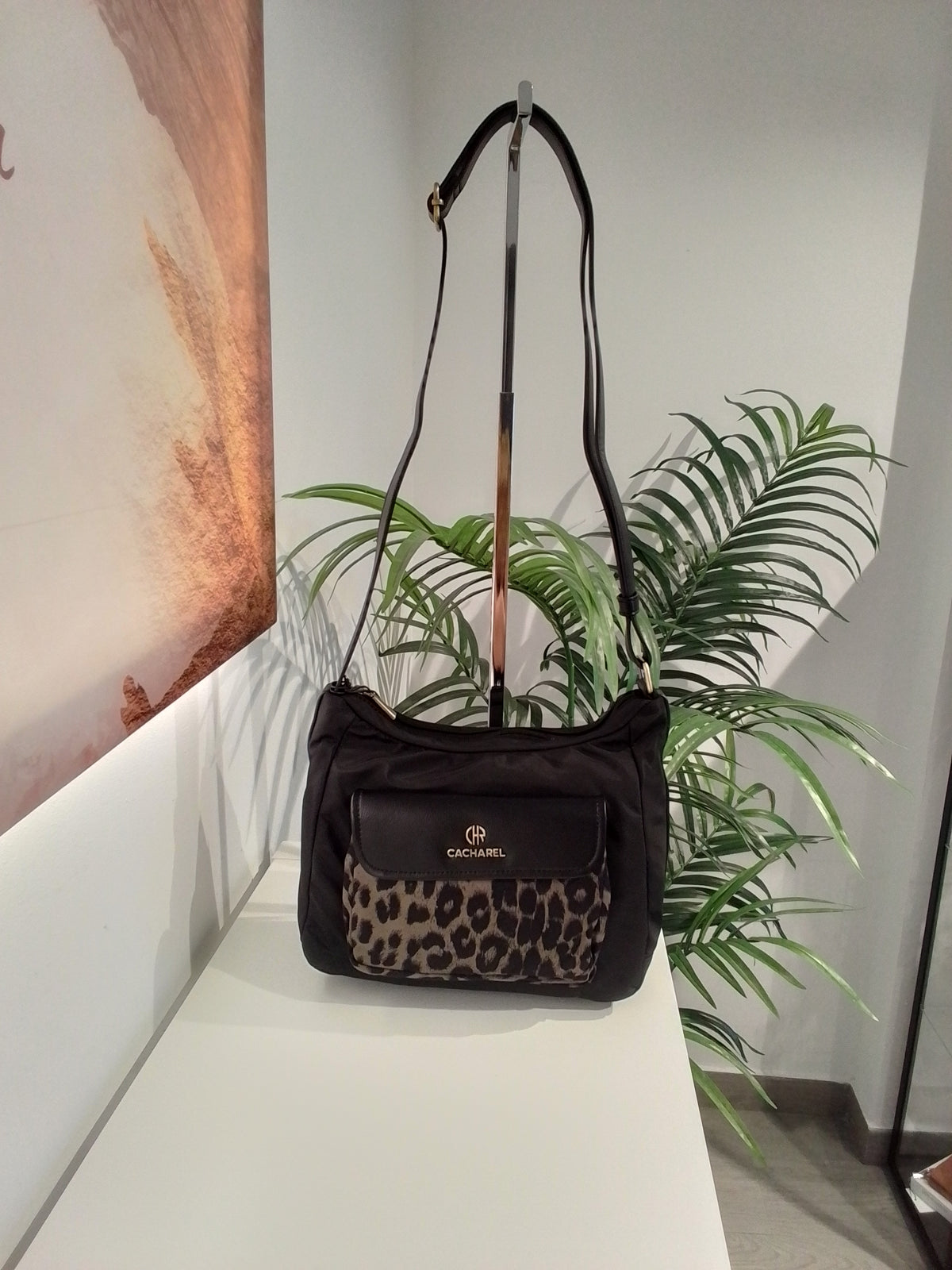 CP262072 NEGRO CACHAREL