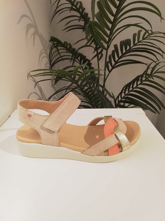 10531-V25 CORAL PEPE SAENZ