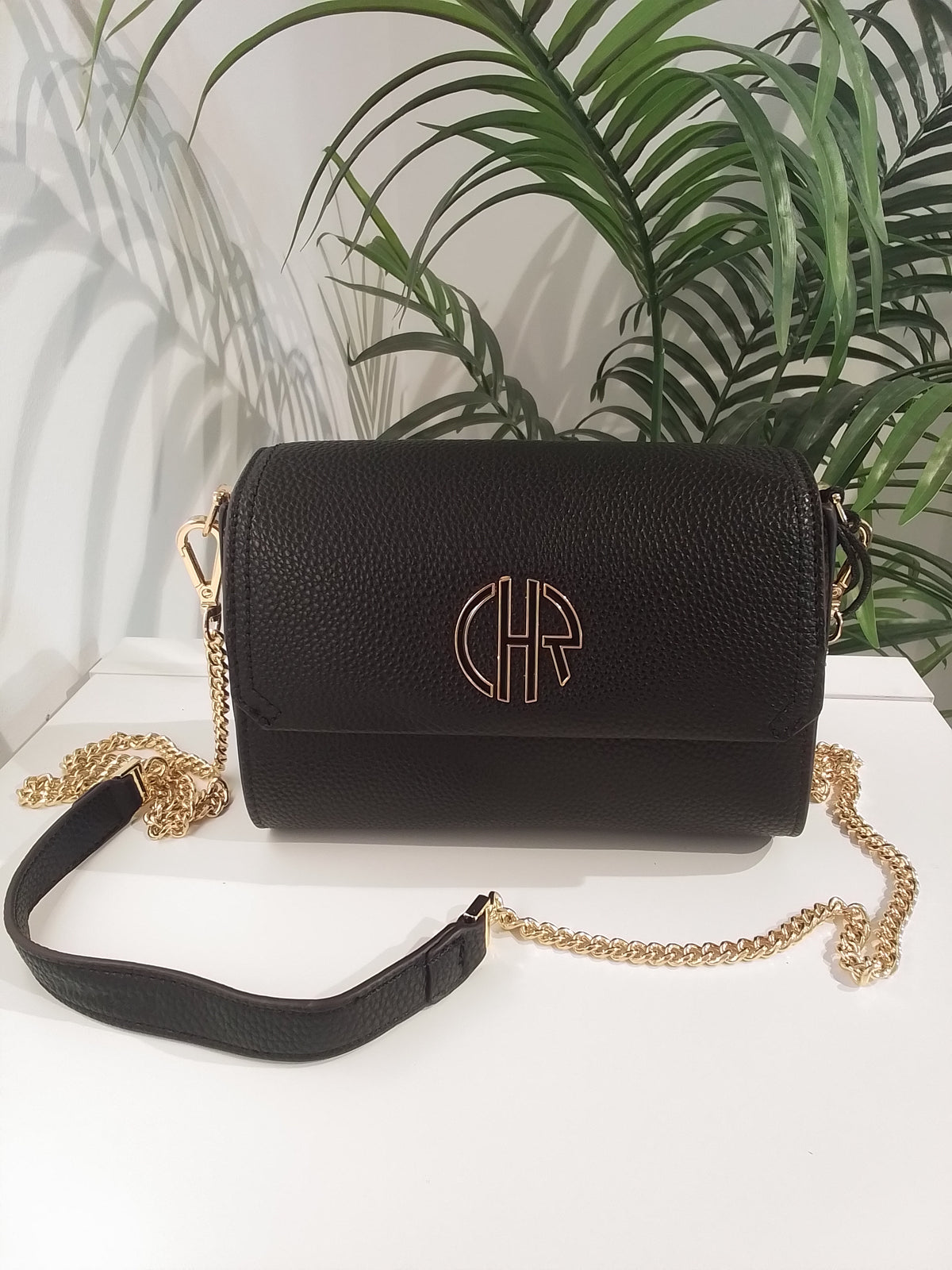 CB262008 NEGRO CACHAREL