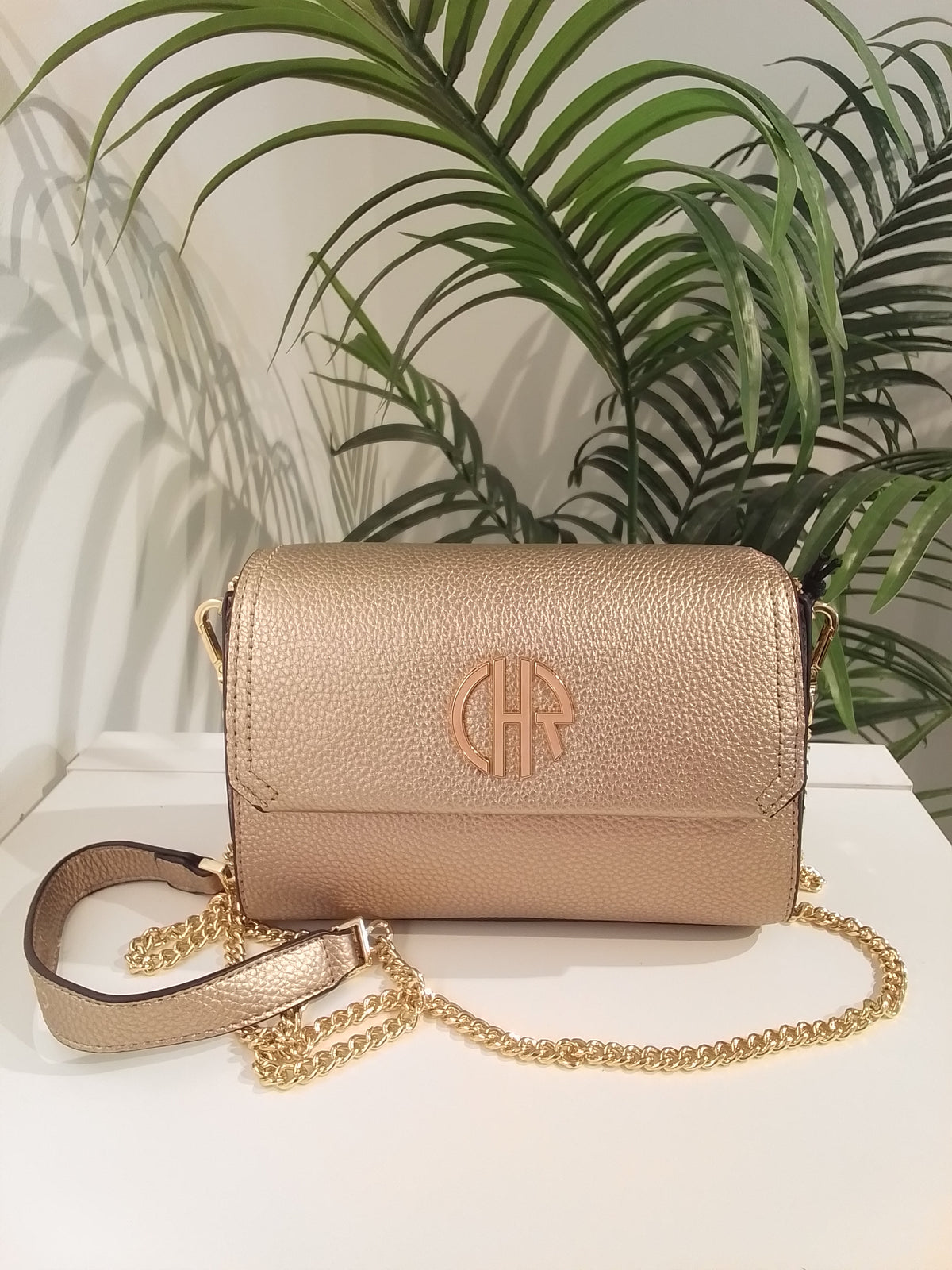 CB262008 ORO CACHAREL