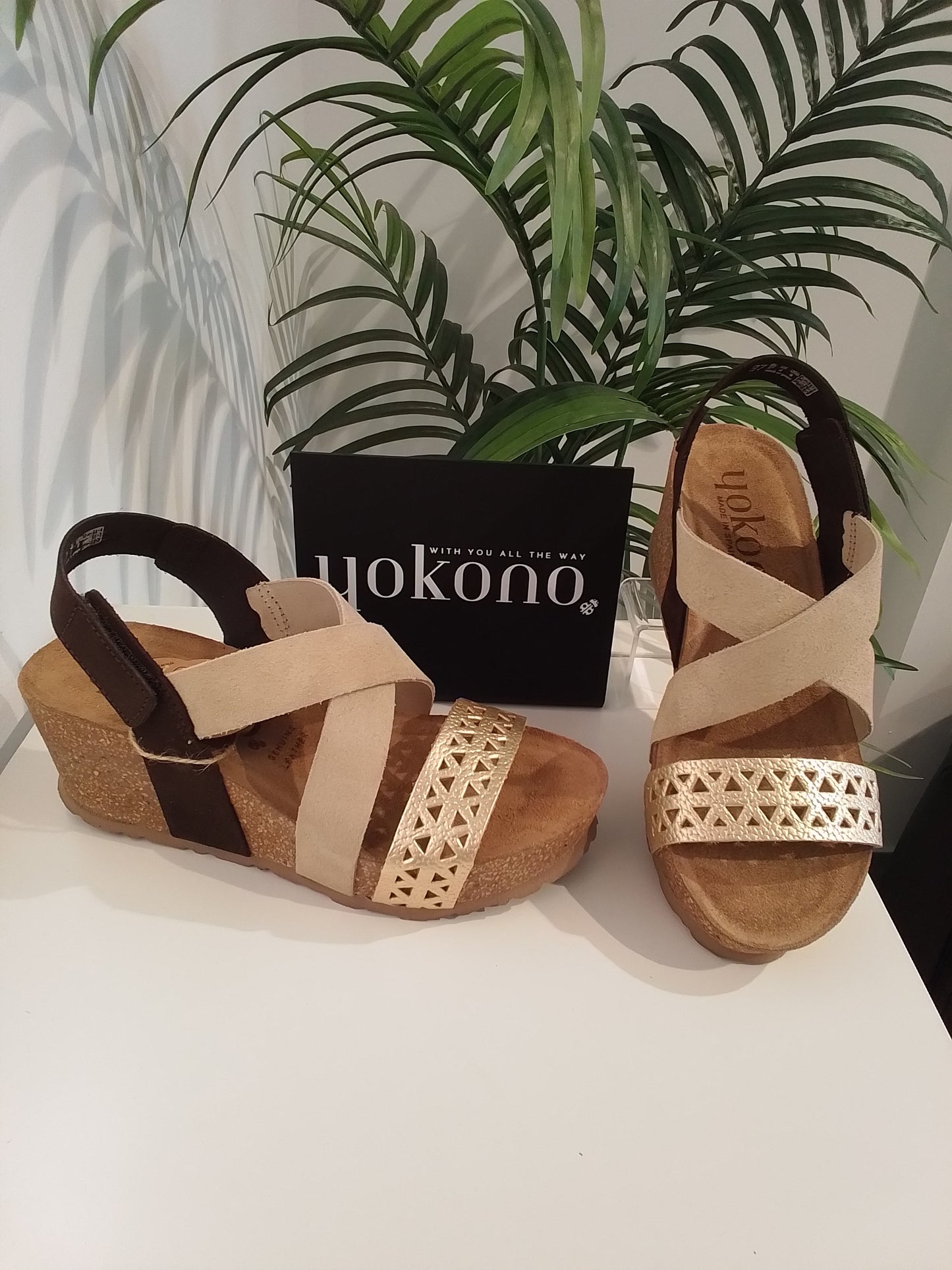 BARI261 MULTI PLATINO YOKONO