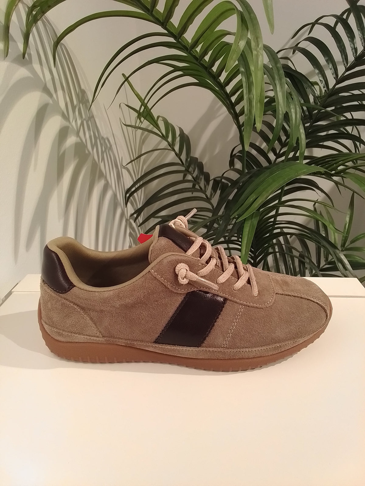 L4675 TAUPE TREINTAS