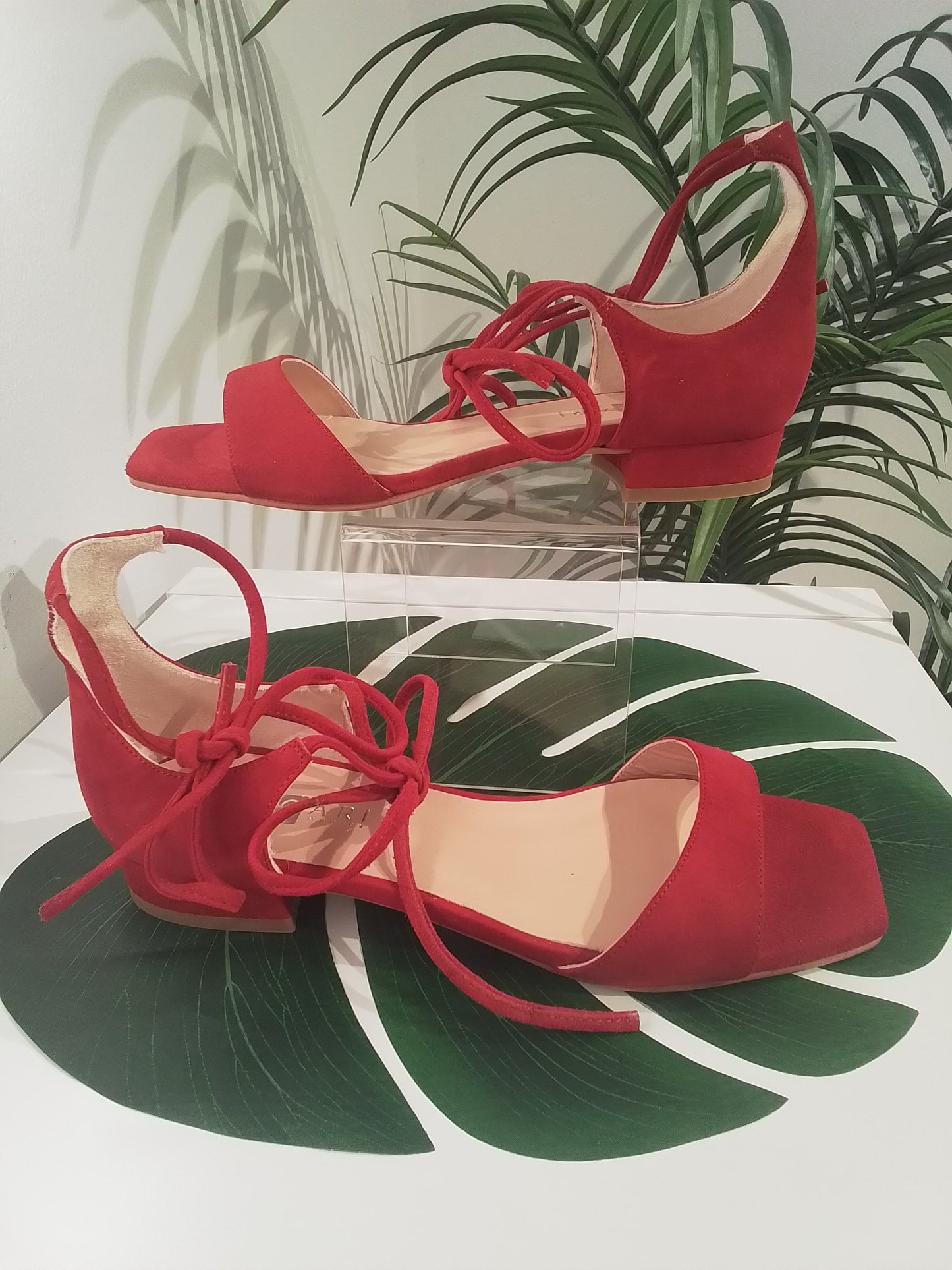 52182 ROJO ANGARI