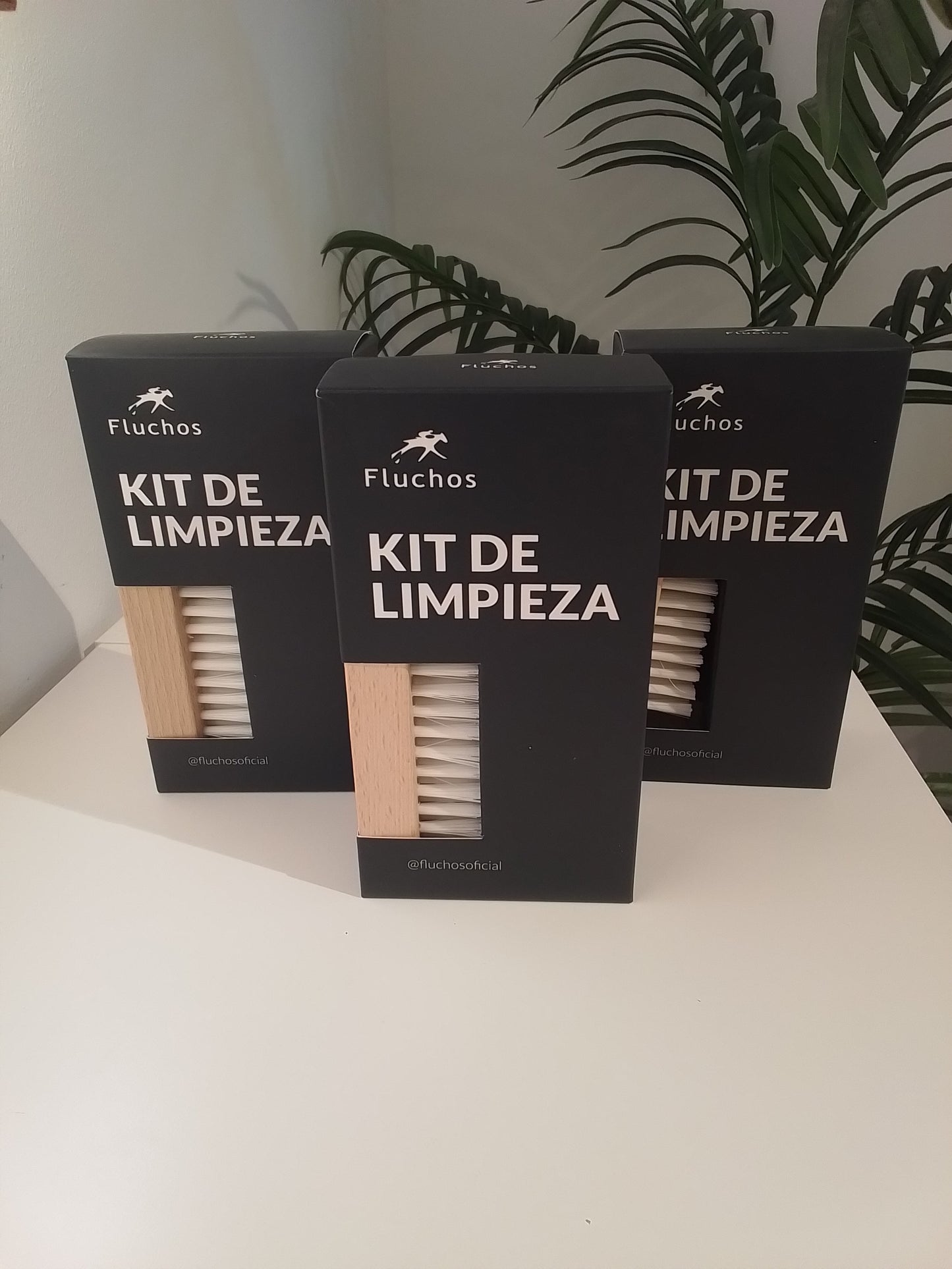 AC001 KIT DE LIMPIEZA MAS CEPILLO FLUCHOS