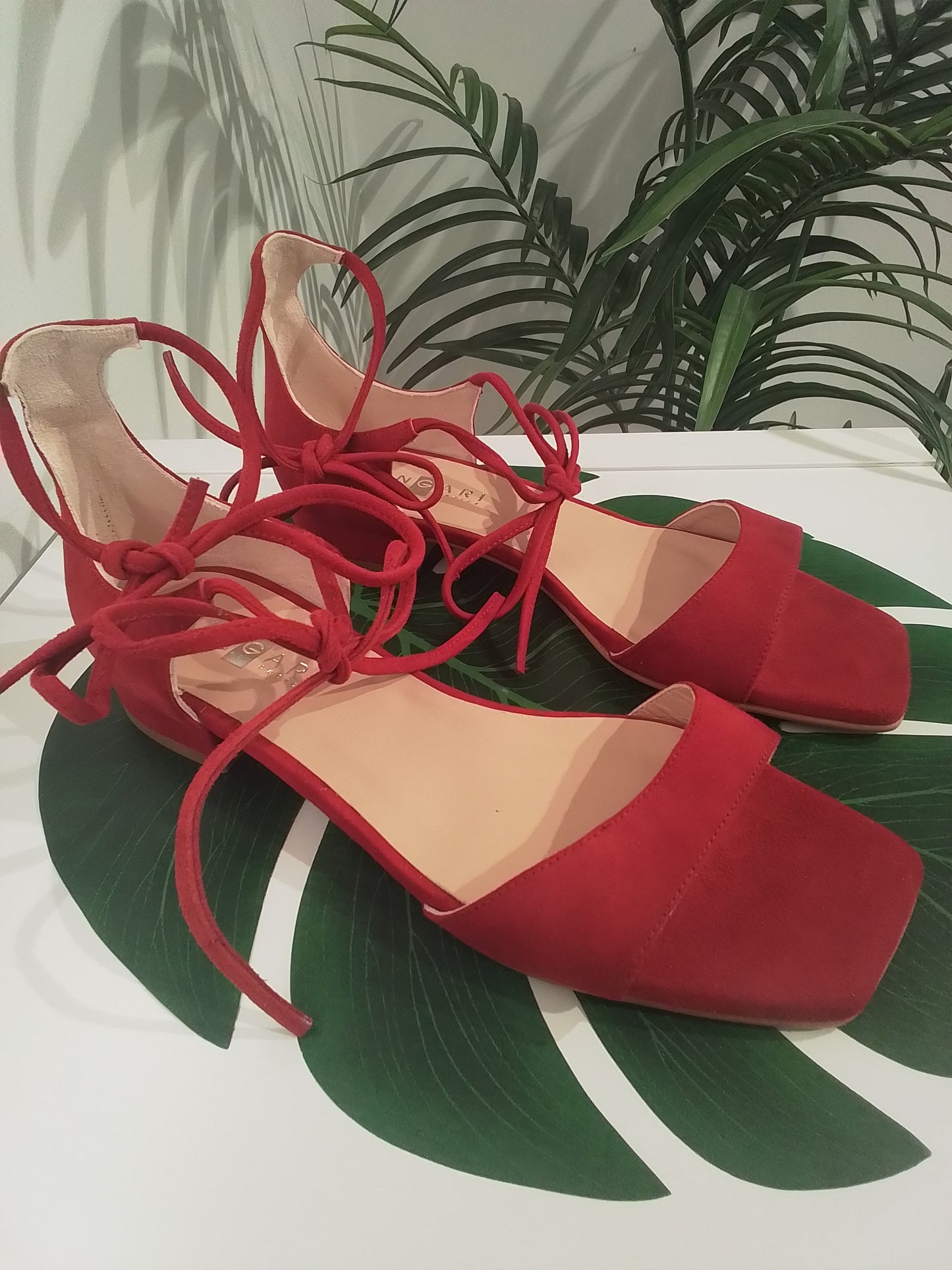 52182 ROJO ANGARI